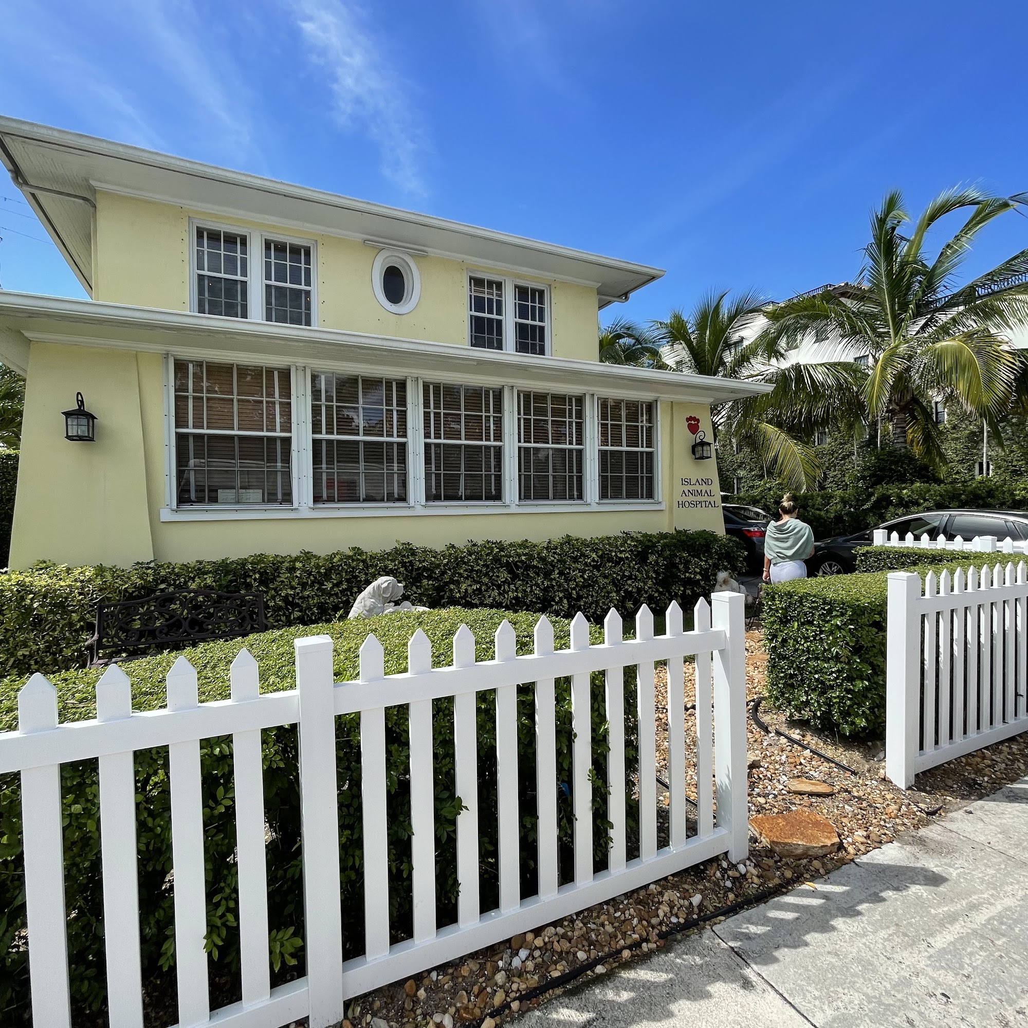 Island Animal Hospital Palm Beach