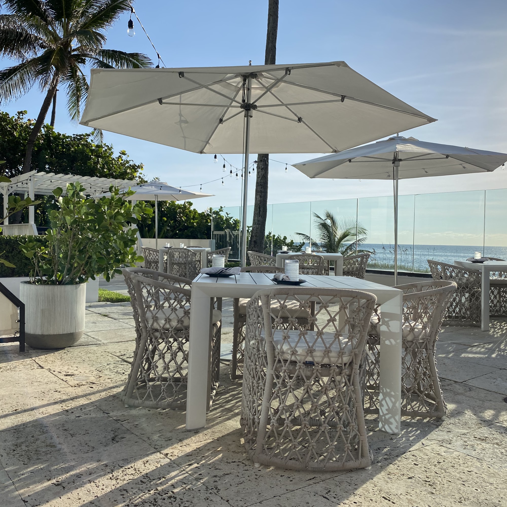 Brandon's Palm Beach Palm Beach