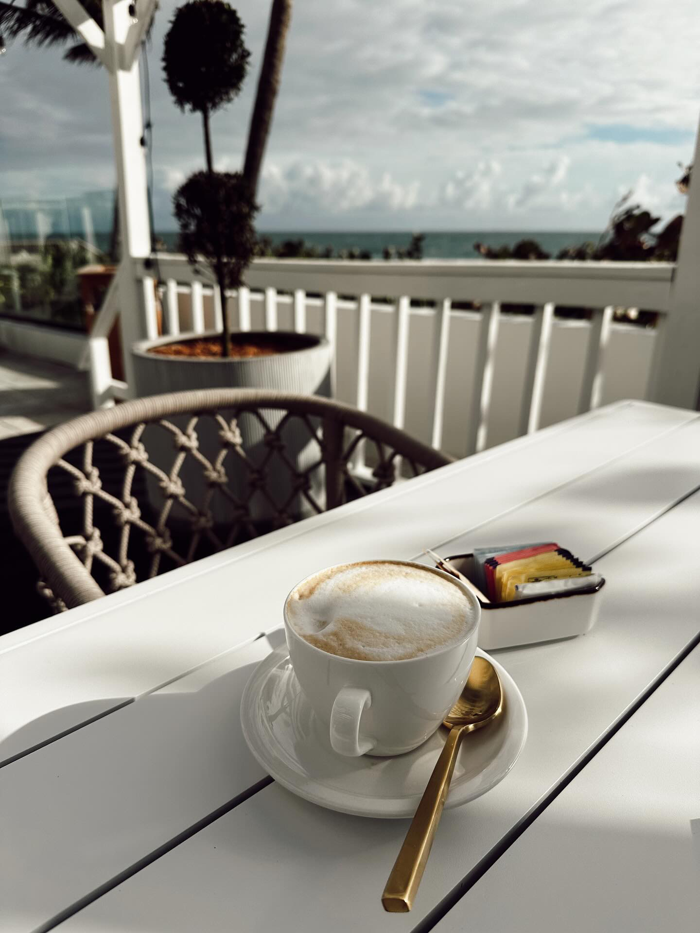 Brandon's Palm Beach Palm Beach