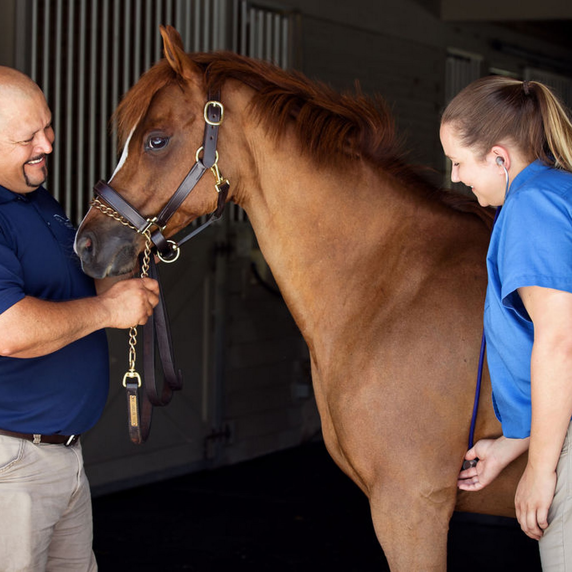 Harbour Ridge Equine Palm City