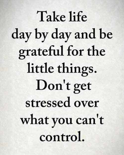 Palm Coast Chiropractic Clinic