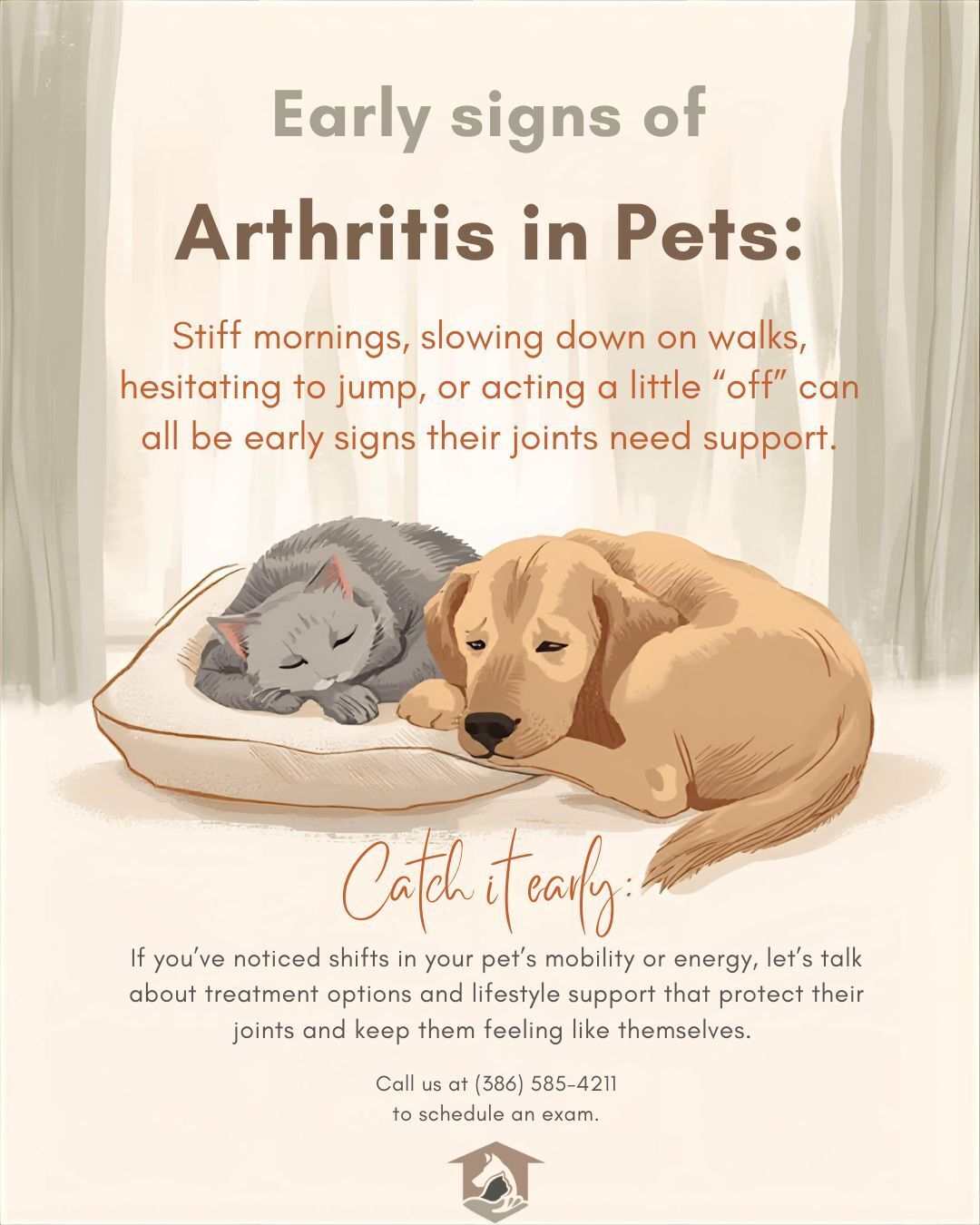 East Coast Animal Hospital Palm Coast