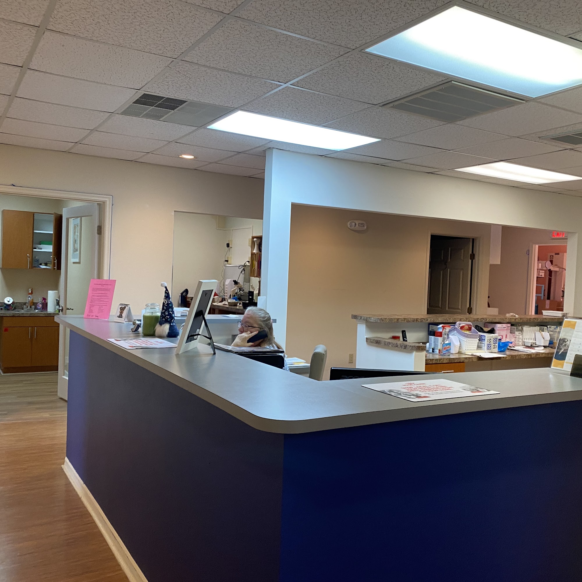 Palm Harbor Animal Hospital Palm Harbor