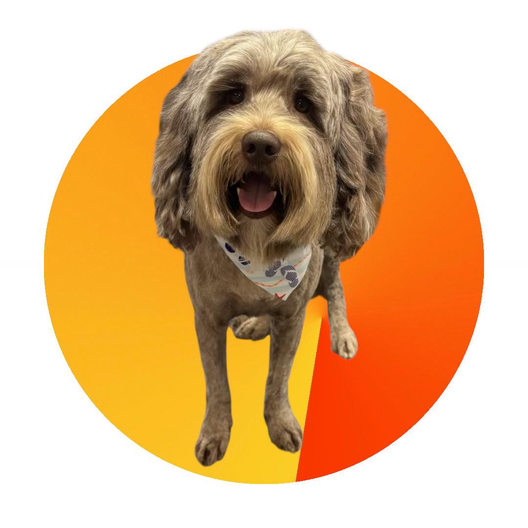 The Barker Shop Palm Harbor