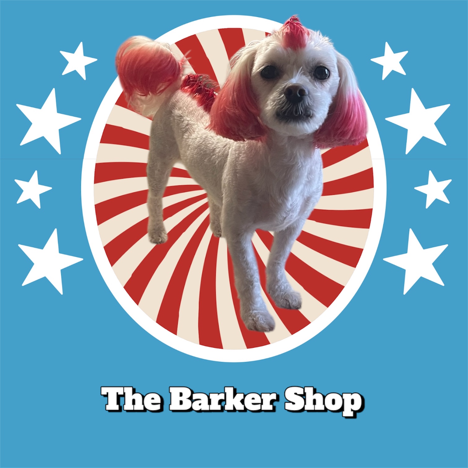 The Barker Shop Palm Harbor