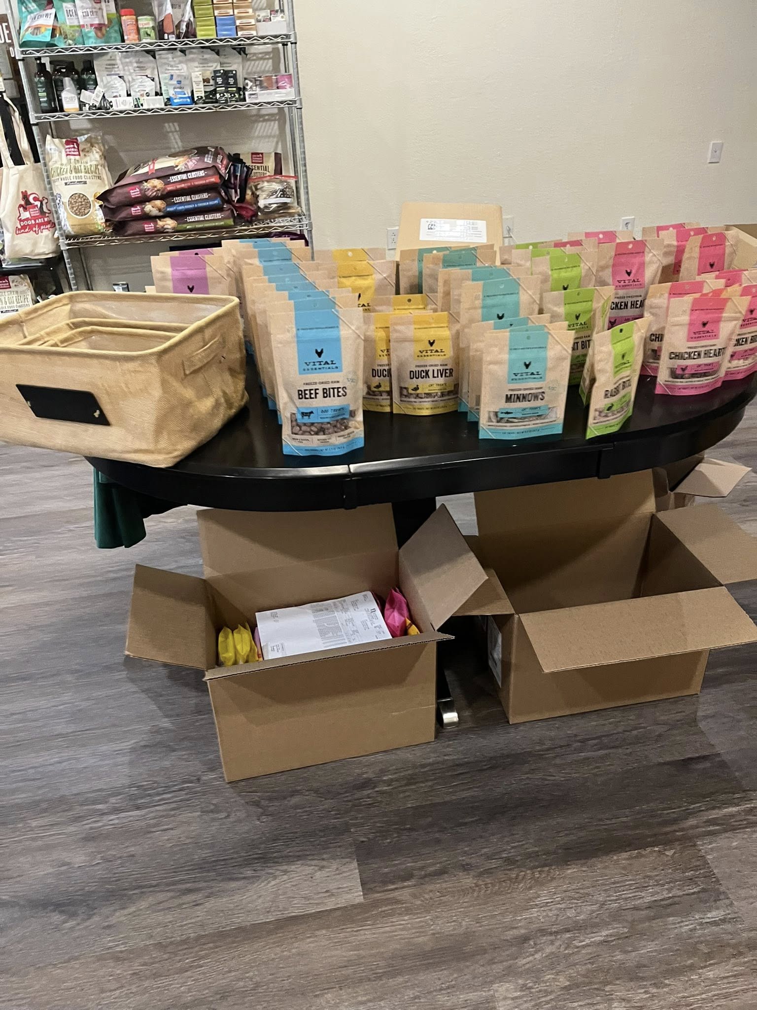 The Charming Canine Palm Harbor