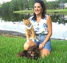 Comforts of Home Pet Care Palm Harbor
