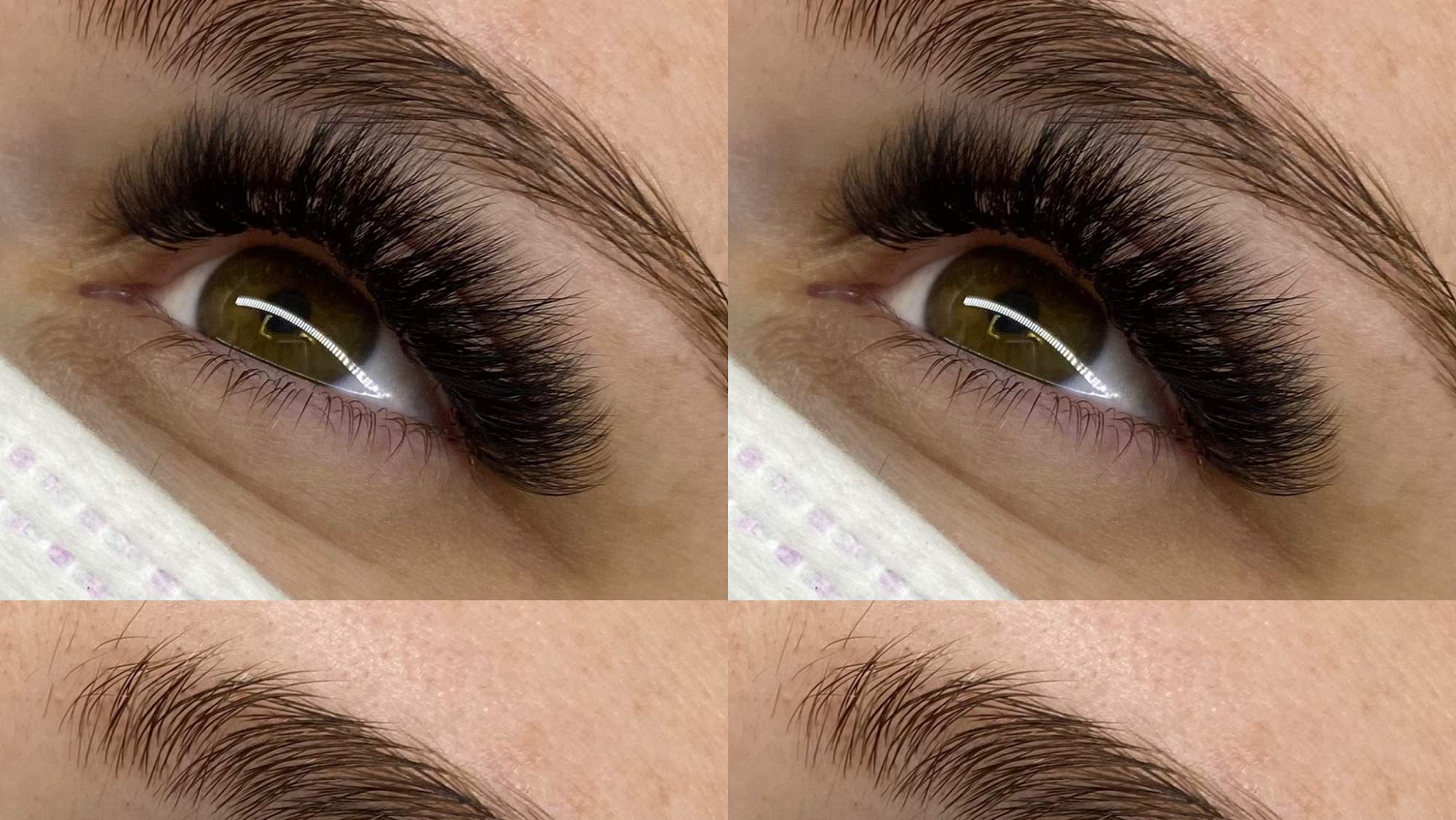 Bay Lash and Beauty 31131 US Hwy 19 N, Palm Harbor Florida 34684