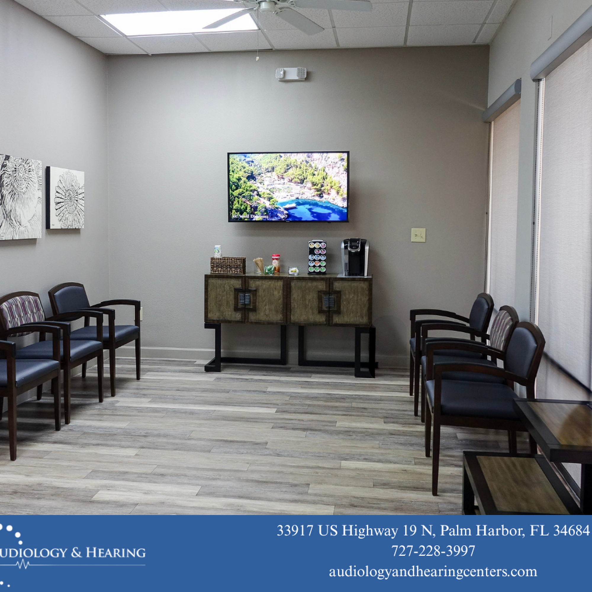 Audiology & Hearing Center of Palm Harbor 33917 US Hwy 19 N, Palm Harbor Florida 34684