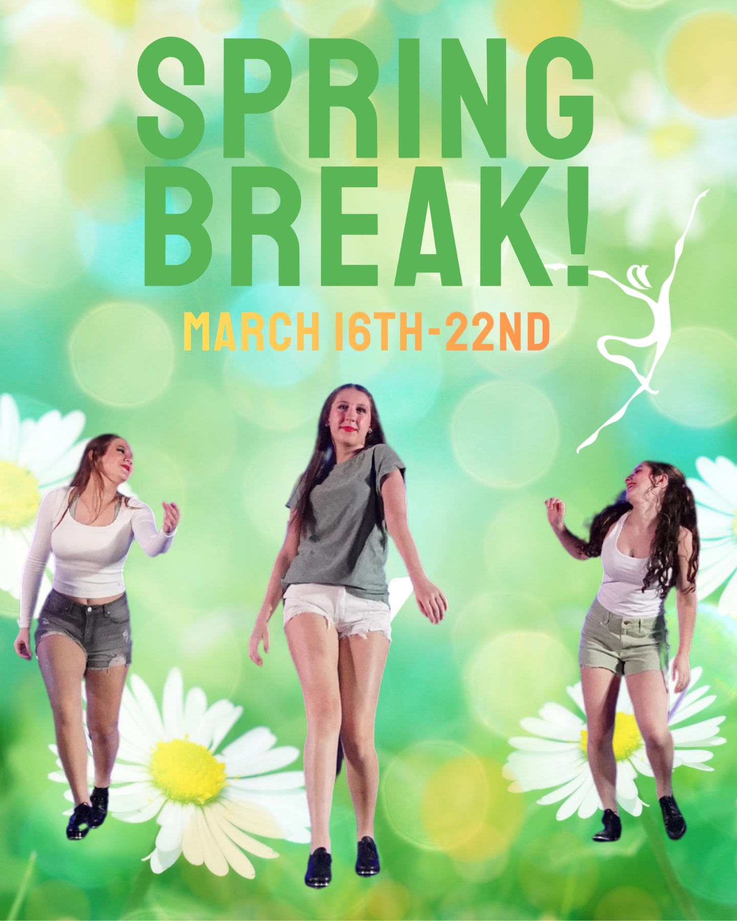 Suncoast Academy of Dance 2330 Curlew Rd, Palm Harbor Florida 34683