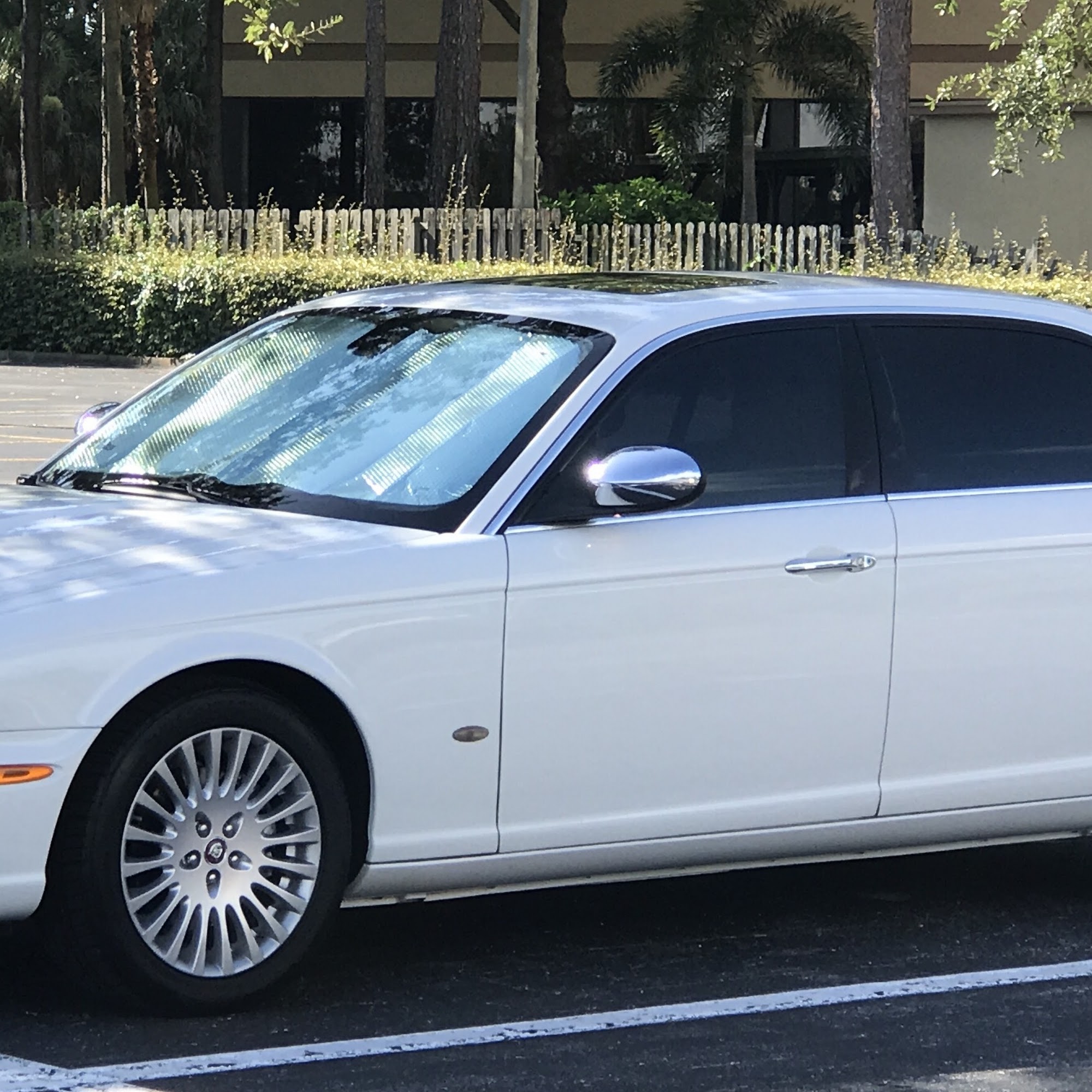 webuyanycar.com Palm Harbor