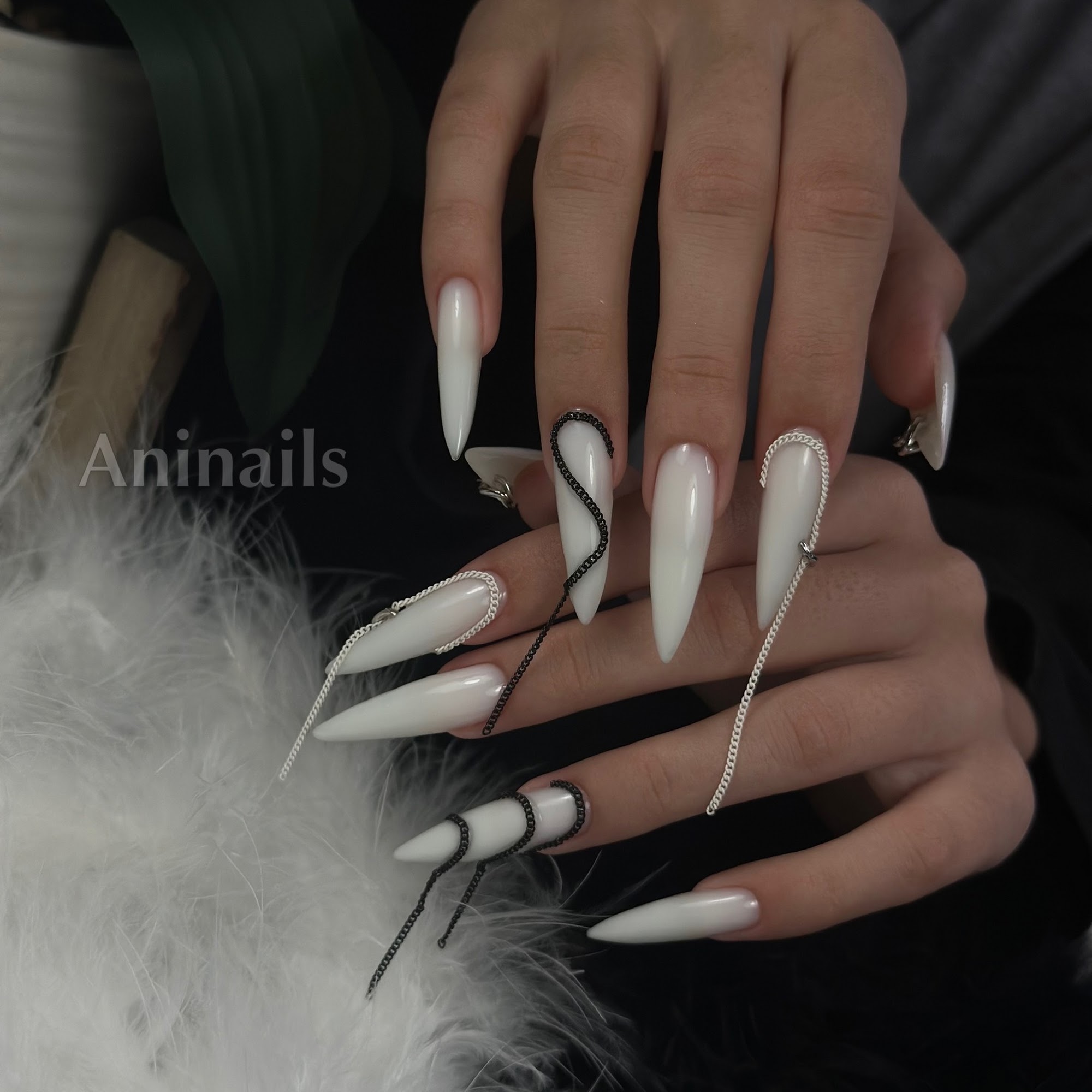 Aninails 36408 US Hwy 19 N, Palm Harbor Florida 34684