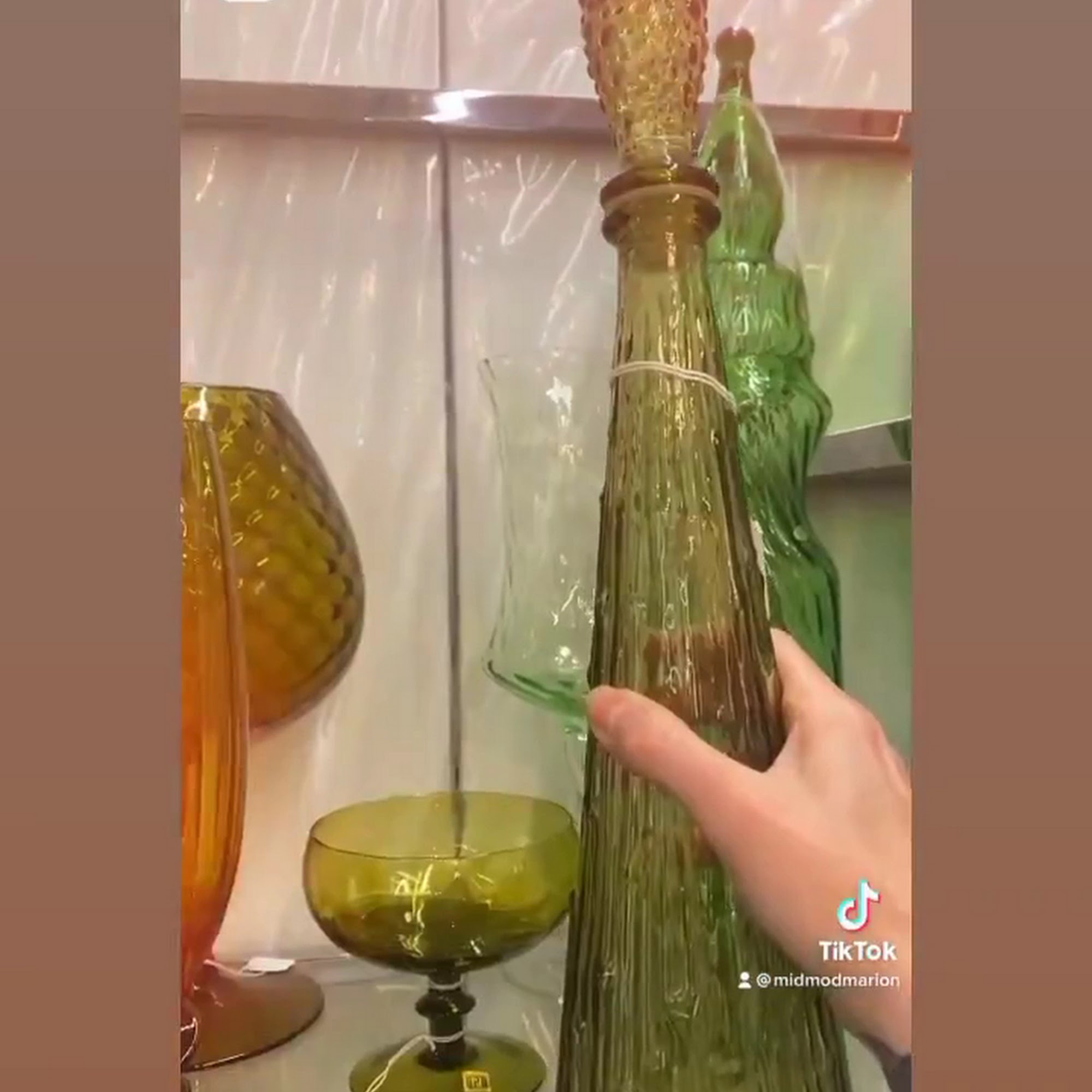 Manatee County Animal Welfare Palmetto