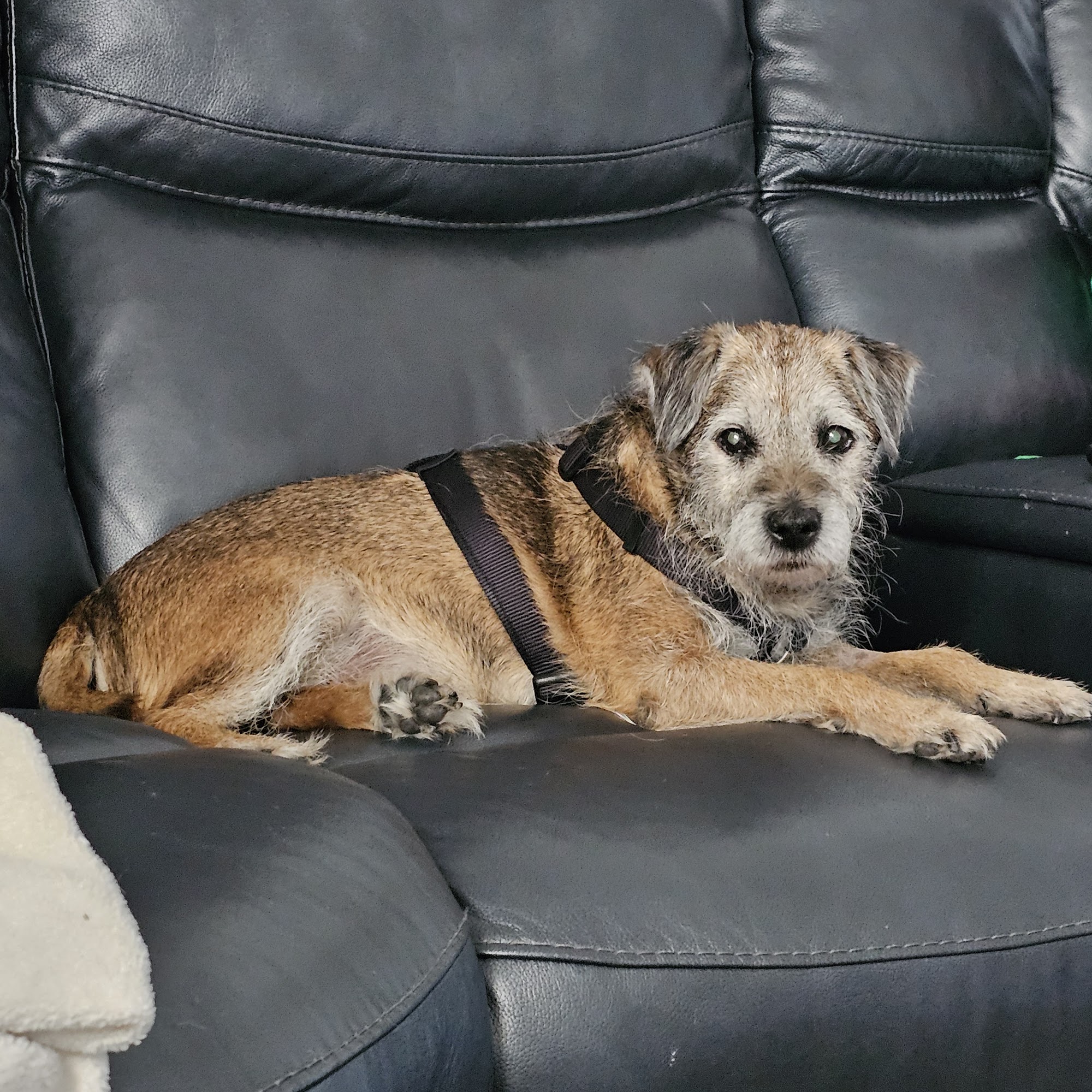 Breeze Animal Hospital Panama City Beach