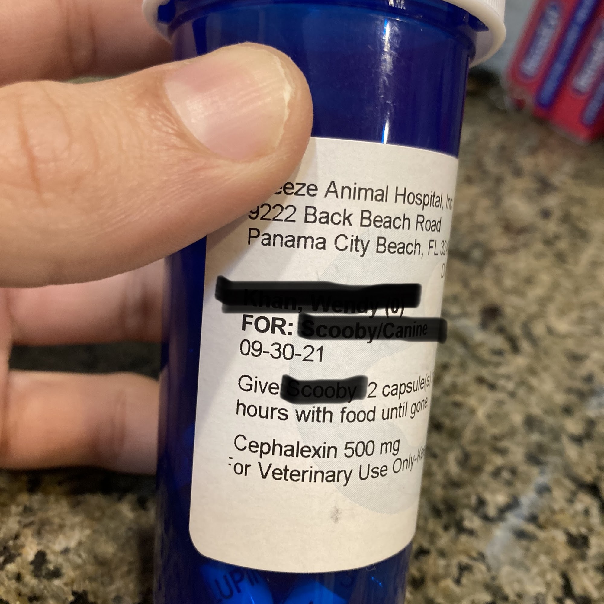 Breeze Animal Hospital: Ford Byron DVM Panama City Beach