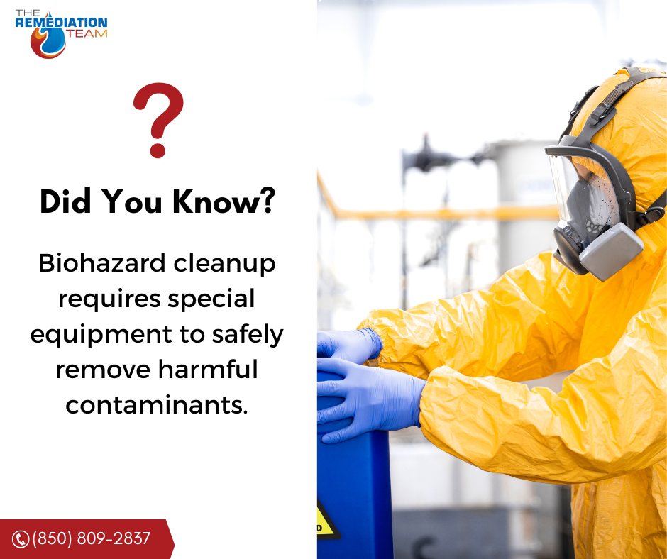 The Remediation Team FL - Panama City Beach