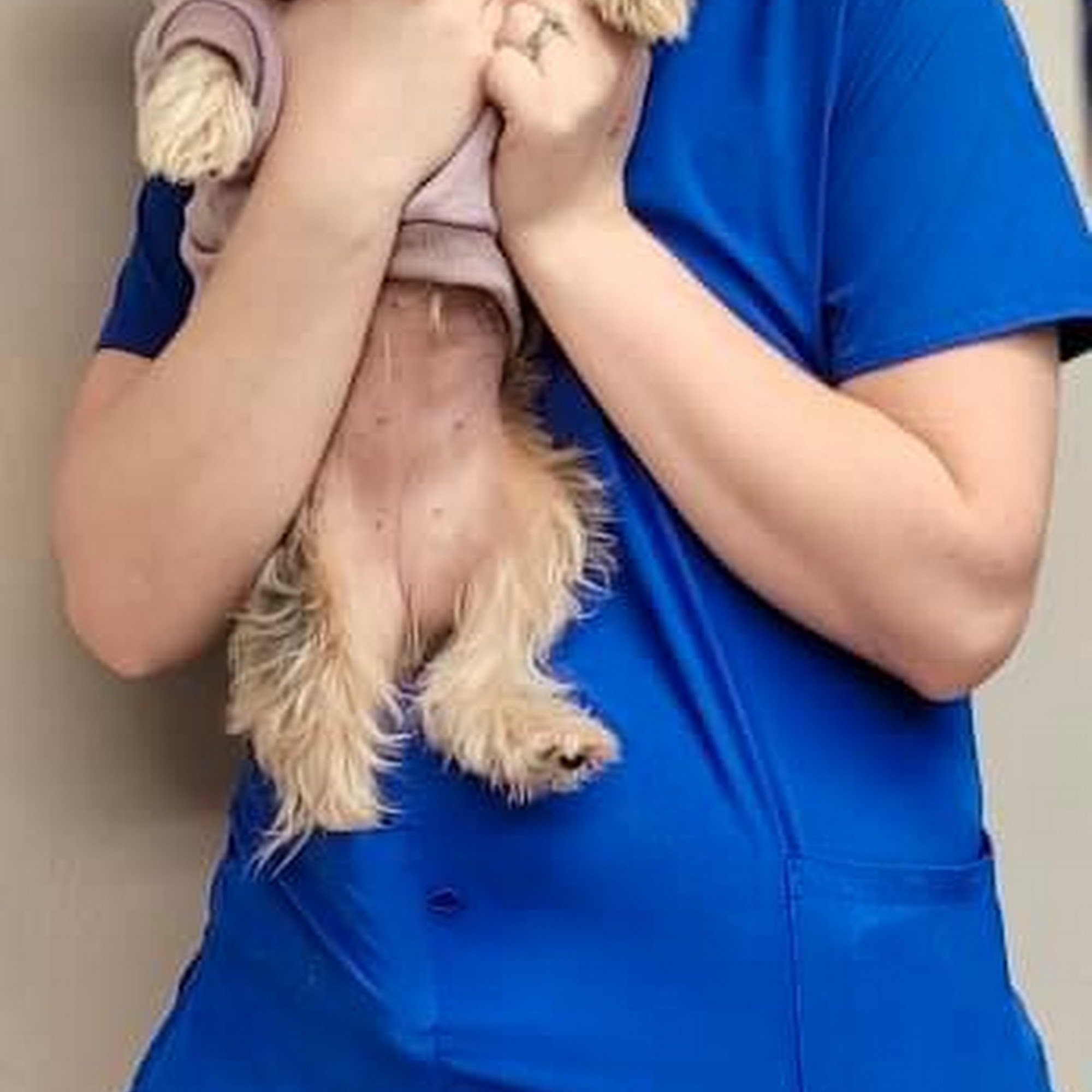 Agape Animal Center Panama City