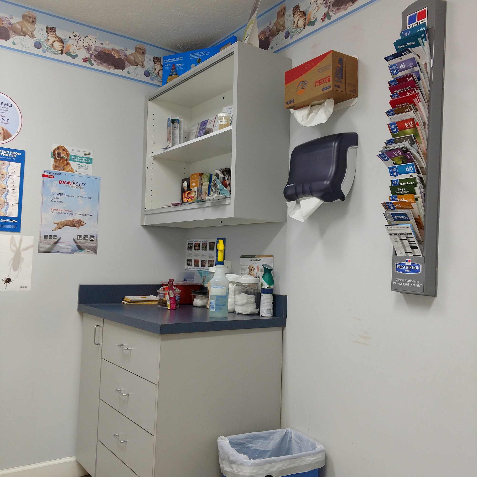 Panama City Animal Hospital Panama City