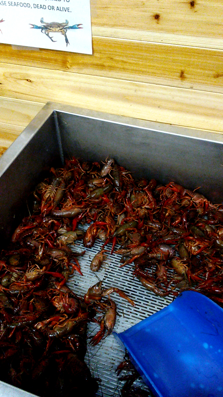 Buddy Gandy's Seafood Menu