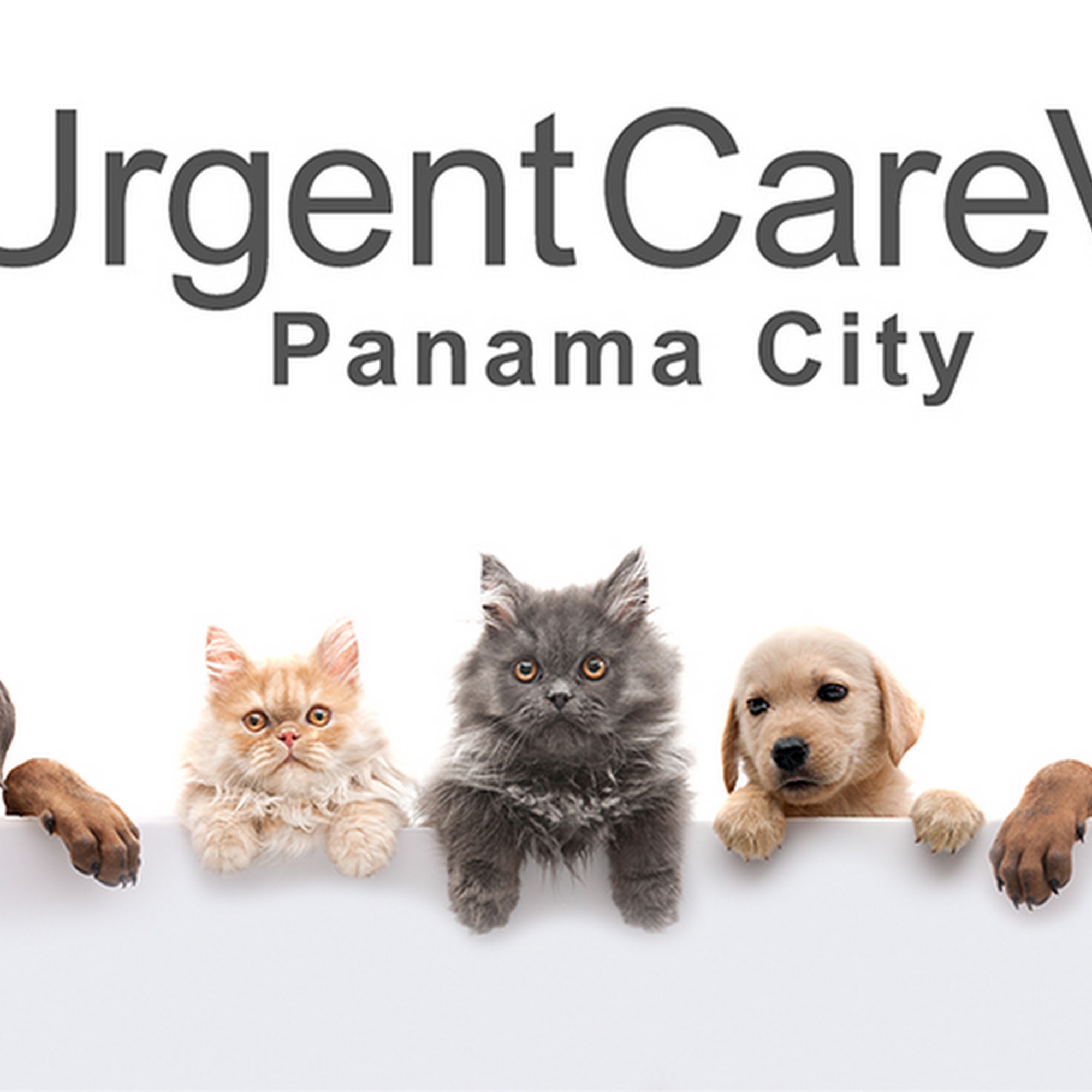 UrgentCareVet Panama City Panama City