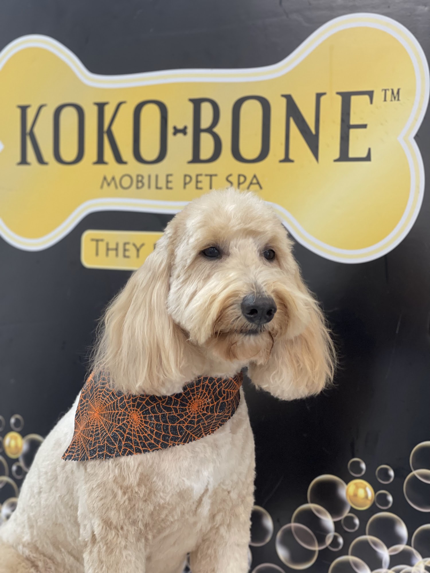 Woof Gang Bakery & Grooming Parkland Parkland