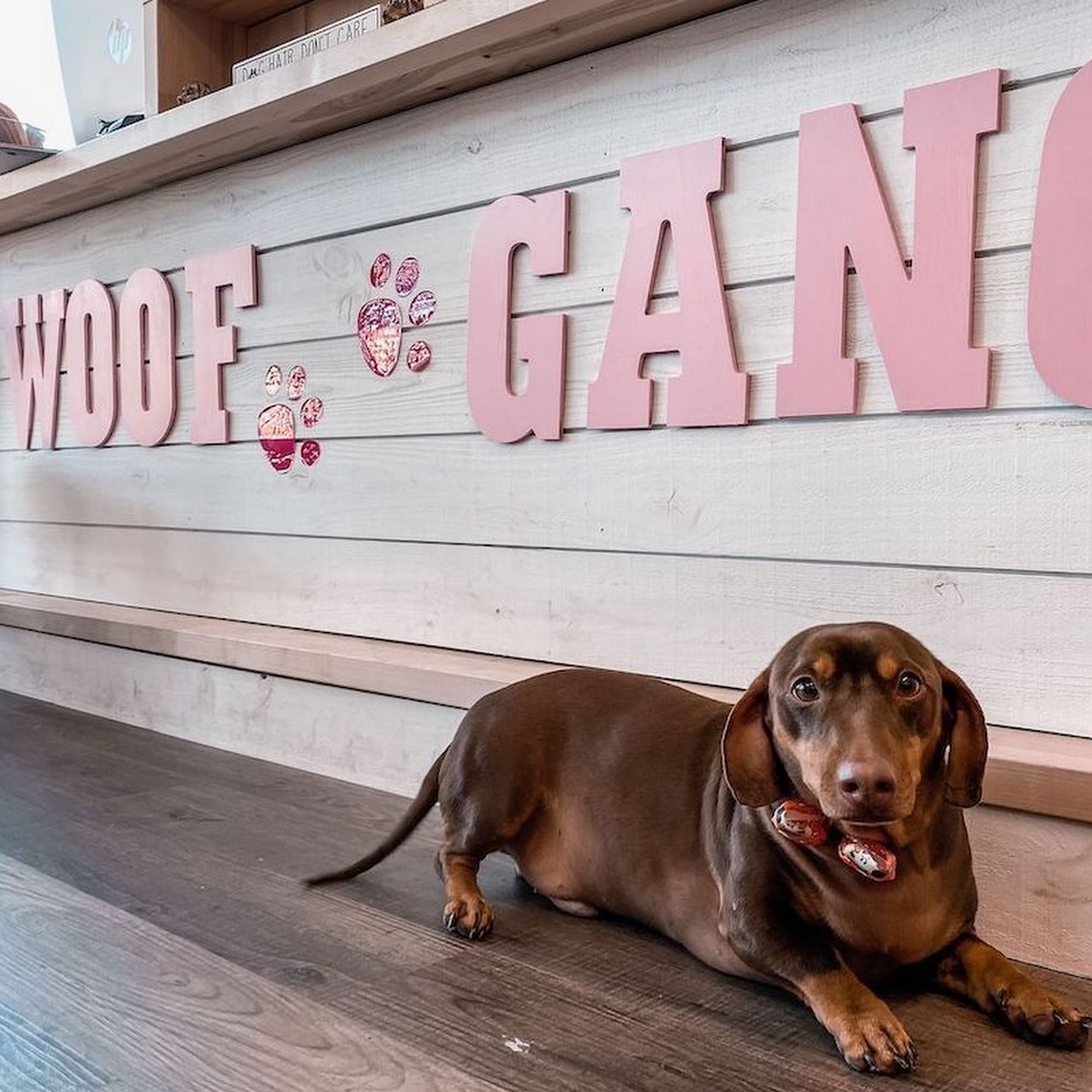Woof Gang Bakery & Grooming Parkland Parkland
