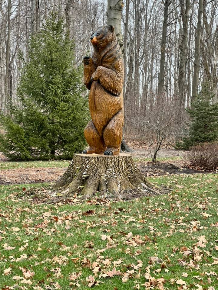 Applied Tree Services