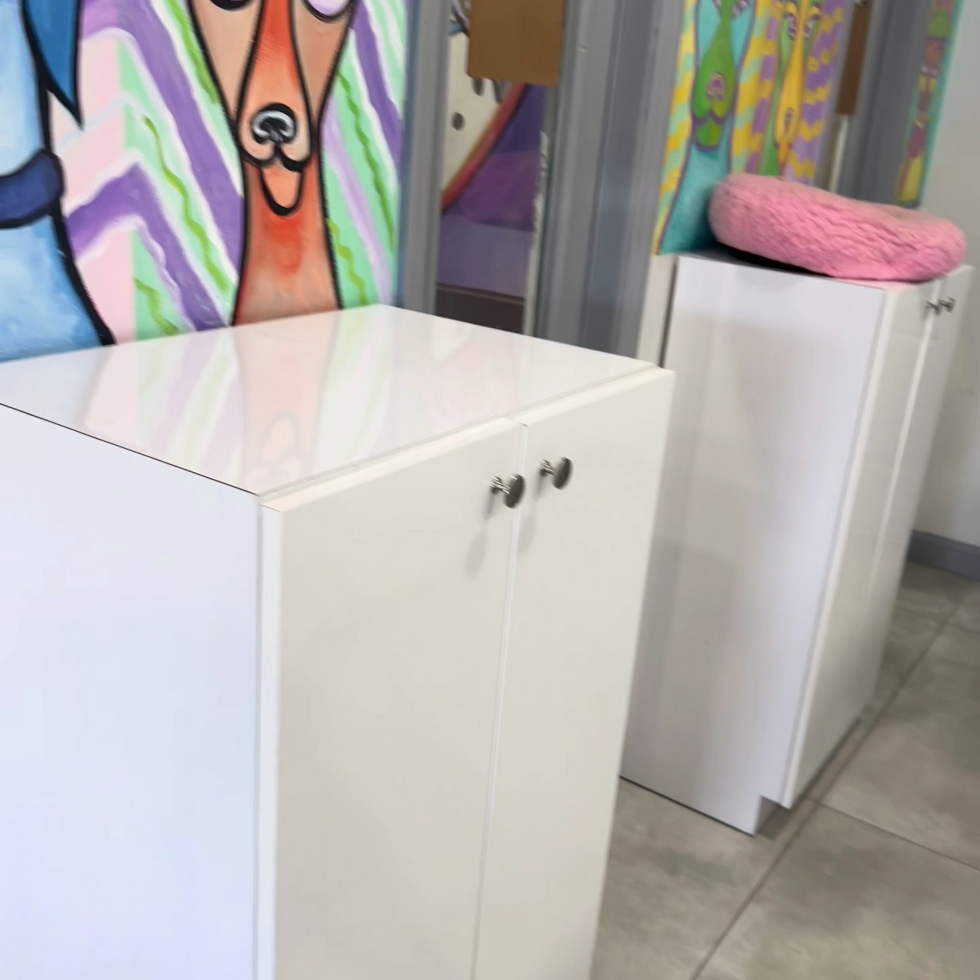 Amore Pet Grooming Salon Pembroke Pines