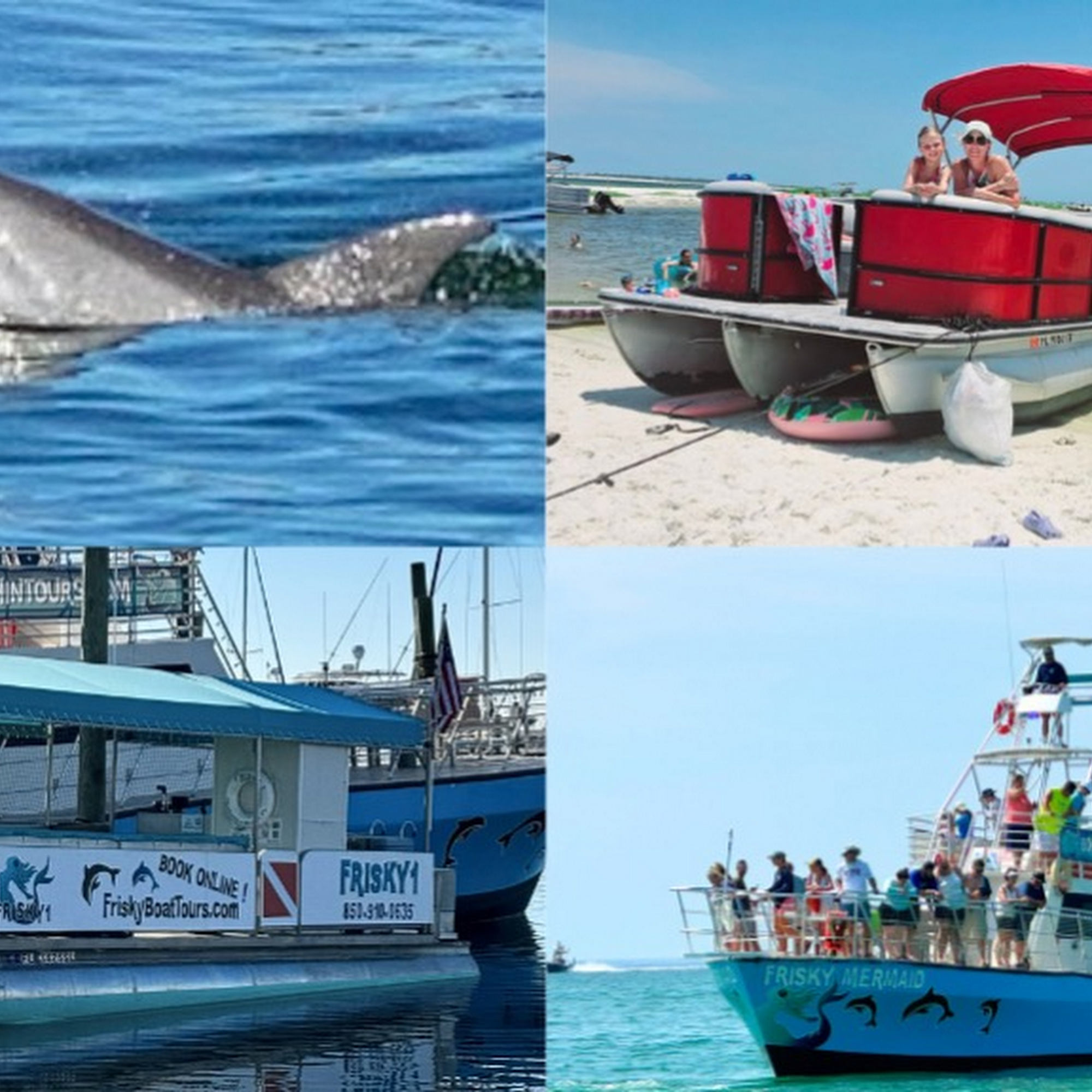 Frisky Mermaid Dolphin Cruises & Pontoon Boat Rentals 715 Pensacola Beach Blvd, Pensacola Beach Florida 32561