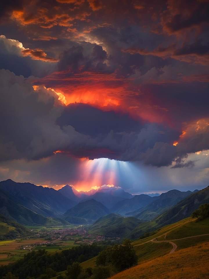 Steadman Veterinary Hospital Pensacola