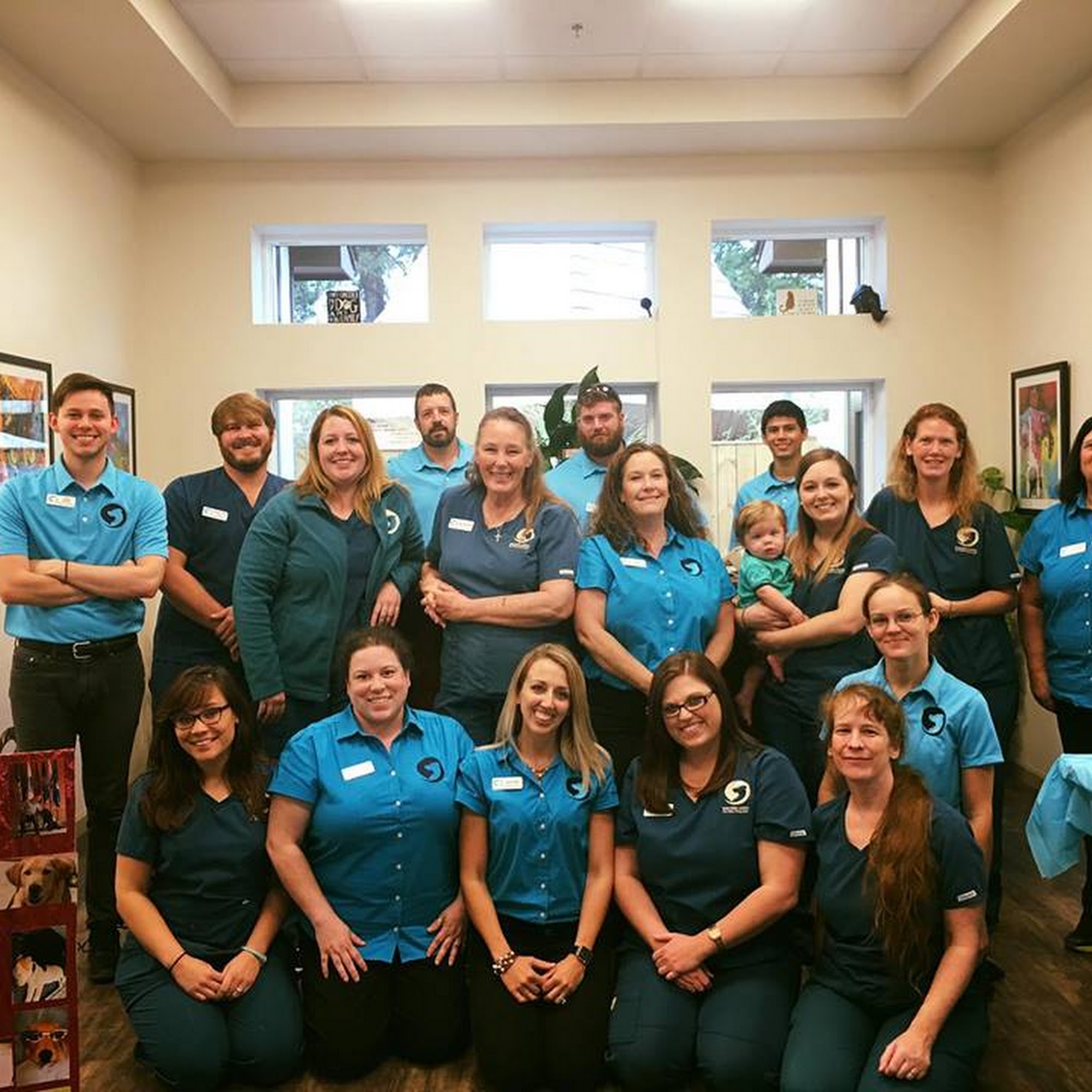 Davis Animal Hospital Pensacola Pensacola