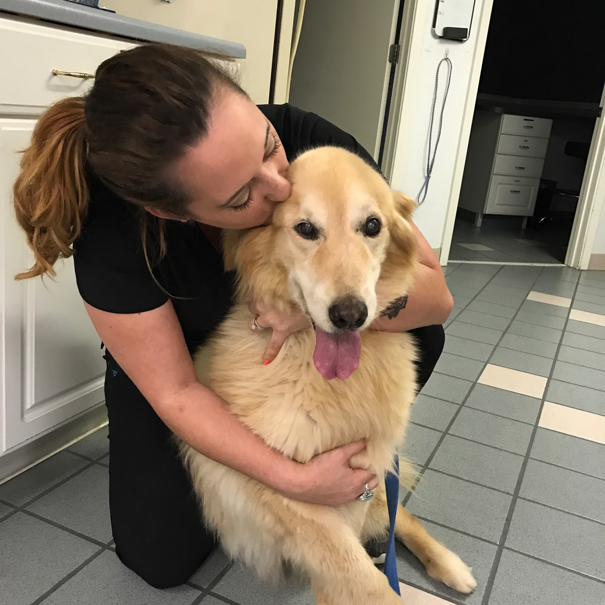 Chemstrand Oaks Veterinary Hospital, L.L.C. Pensacola