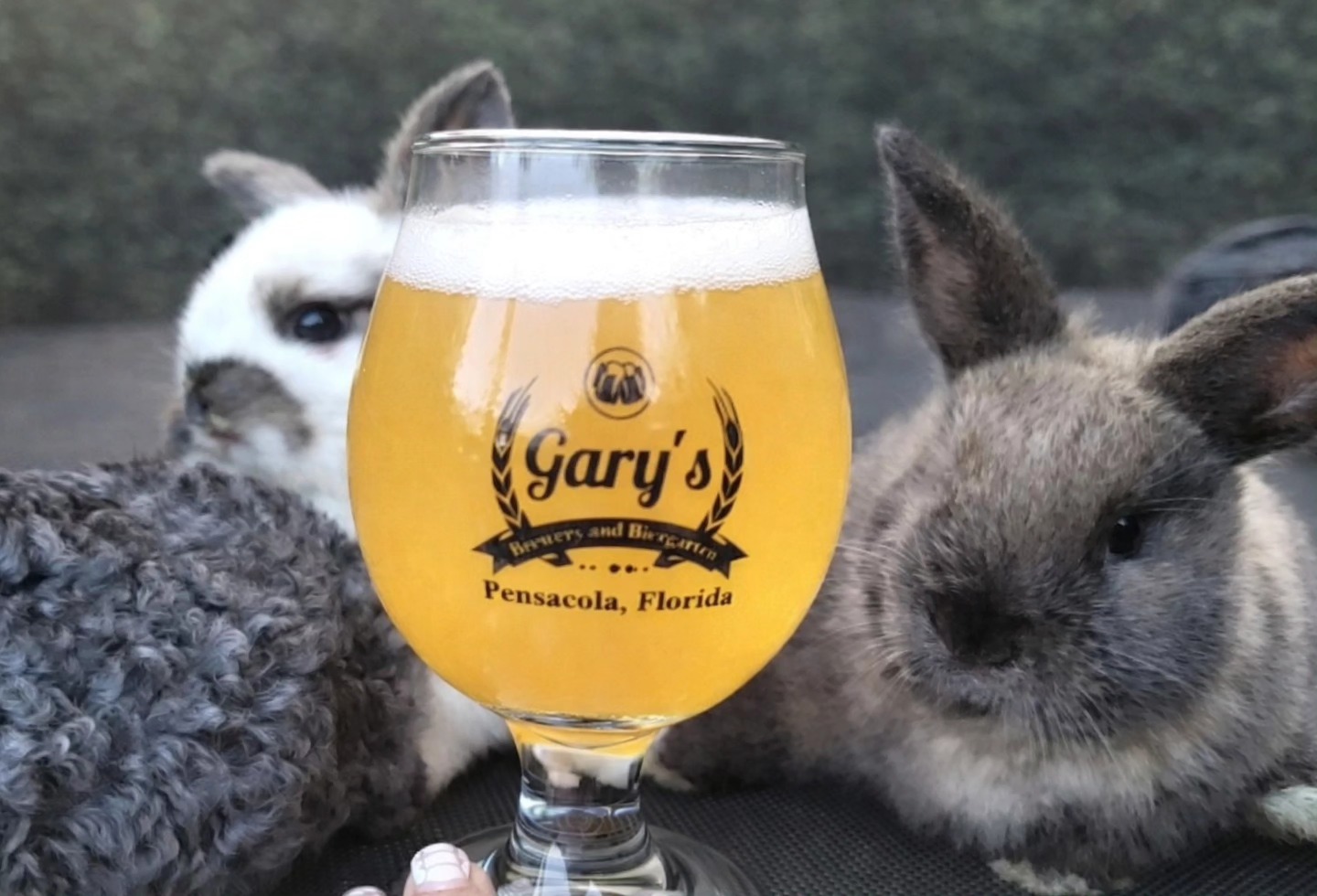 Gary's Brewery & Biergarten Pensacola