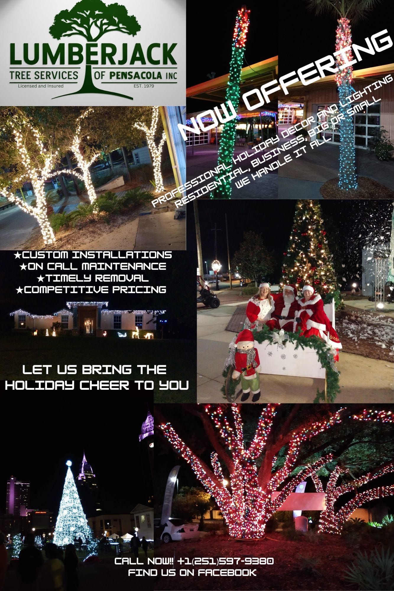 Lumber Jack Tree Services