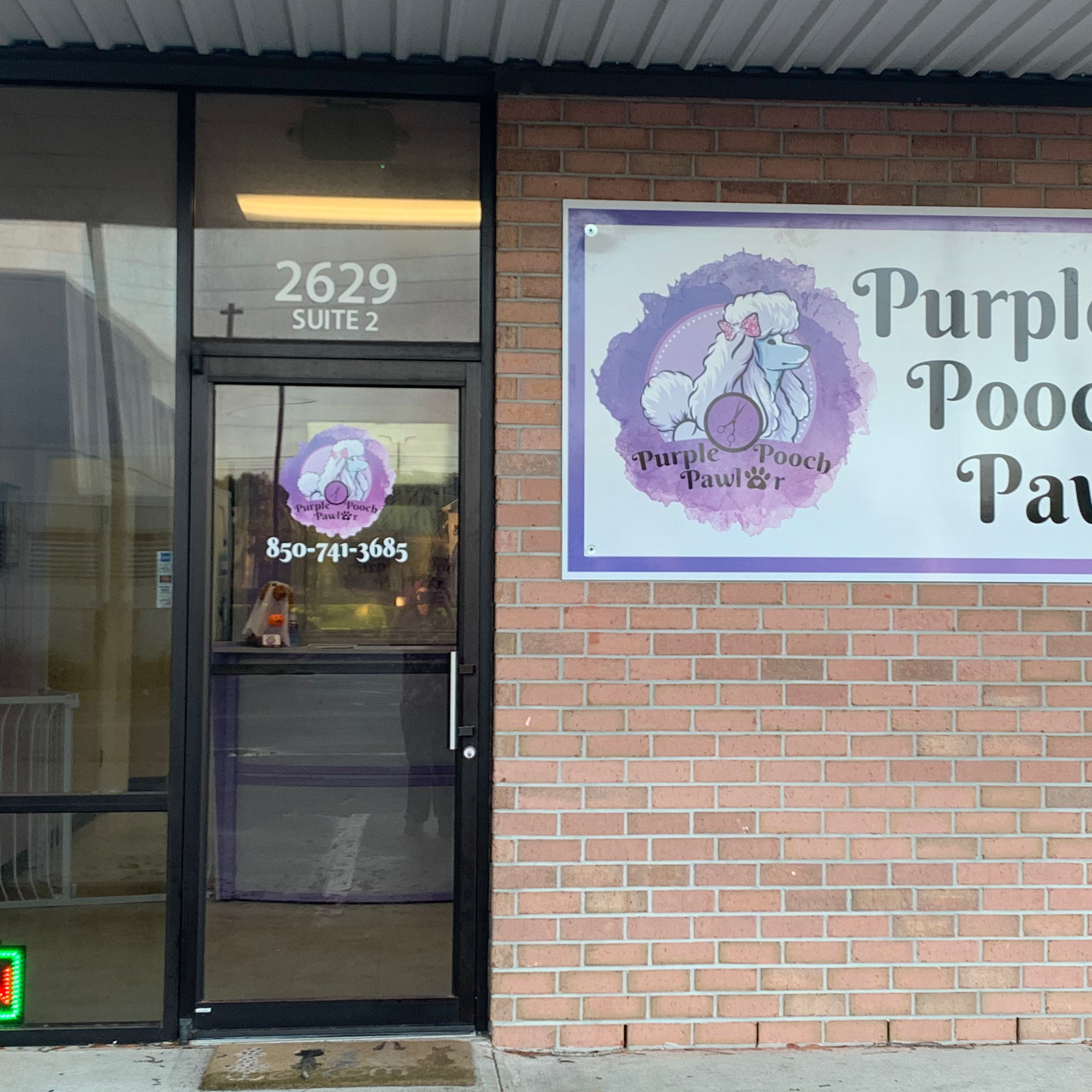 Purple Pooch Pawlor Pensacola
