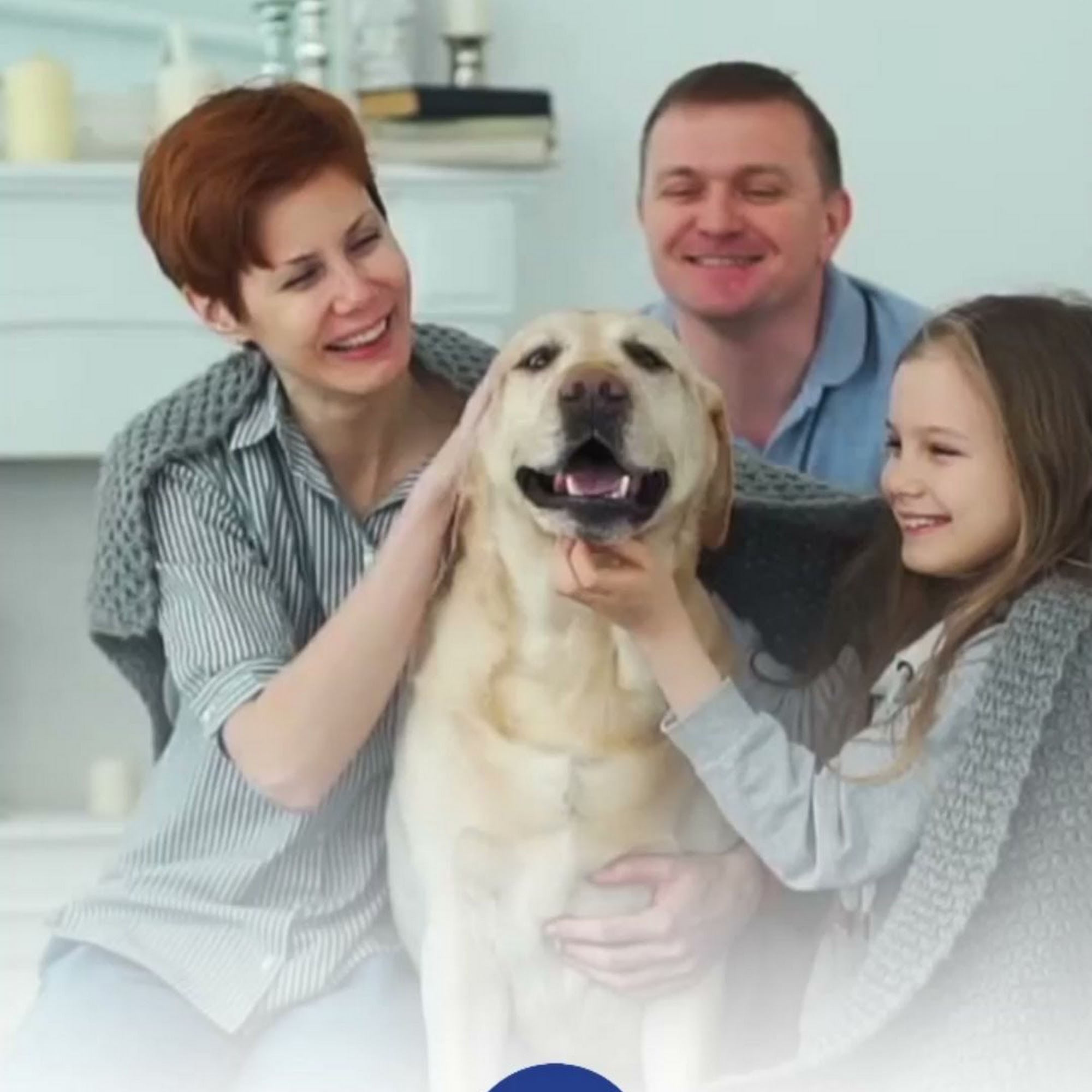 Mc Norton Mechanical Contractors