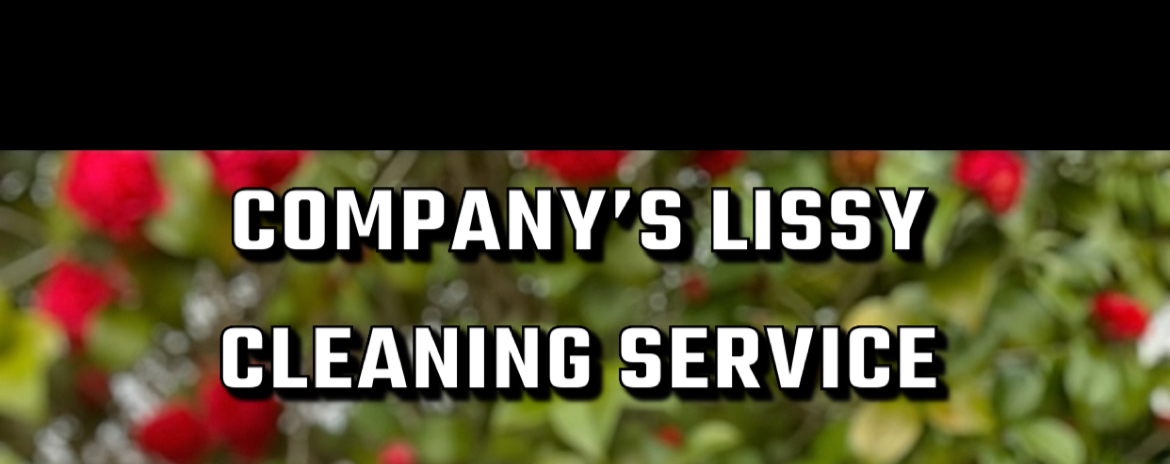 Company's LISSY Cleaning Service