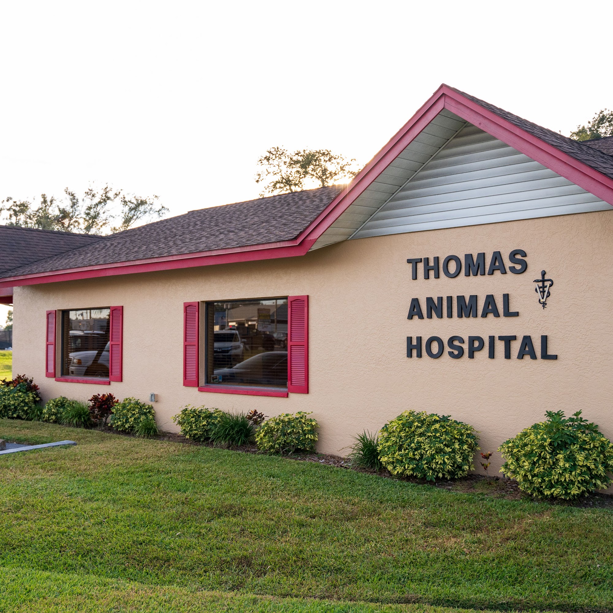 Thomas Animal Hospital Pinellas Park