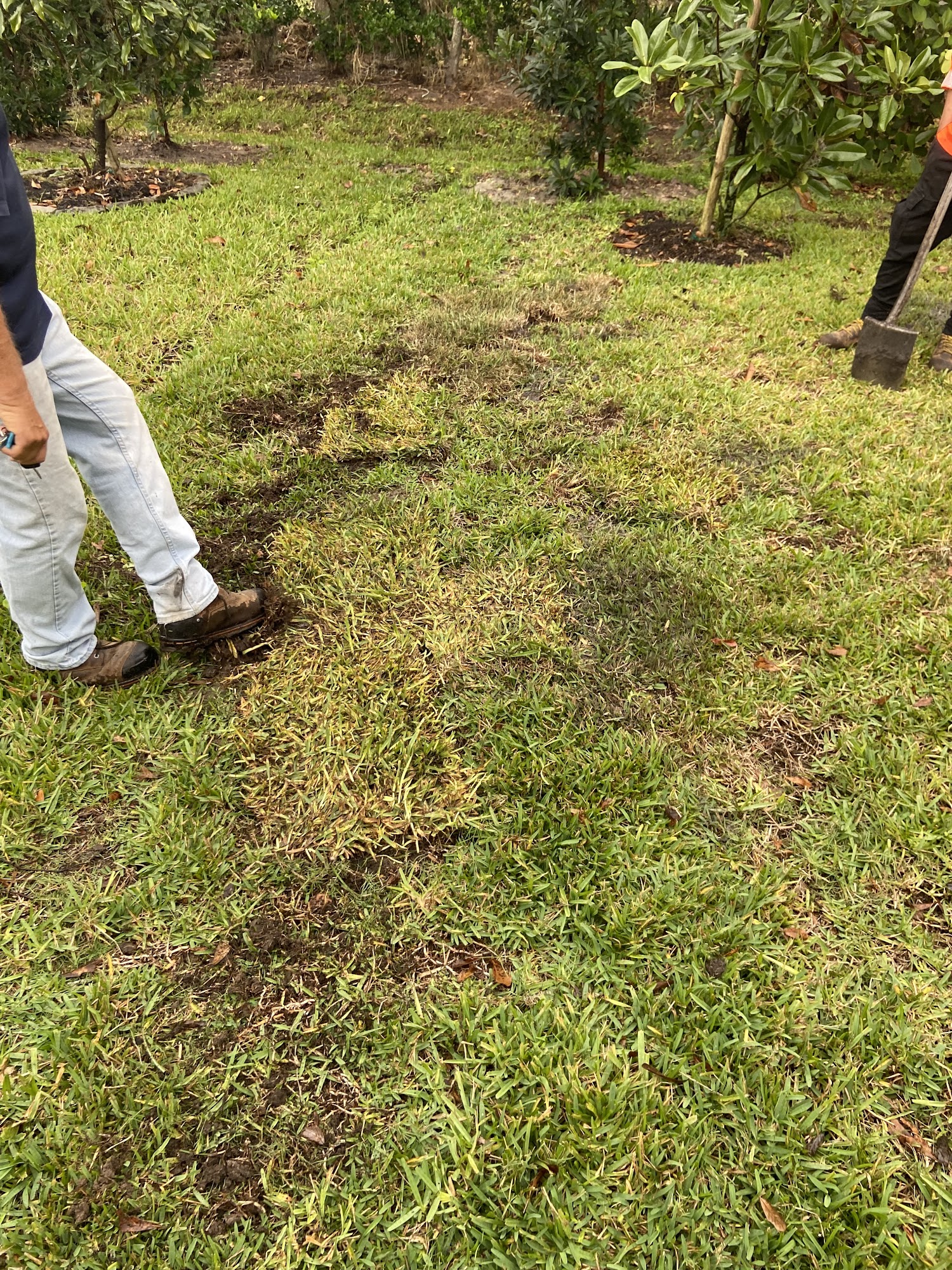 Sunshine Landscape Management 4941 72nd Ave N, Pinellas Park Florida 33781