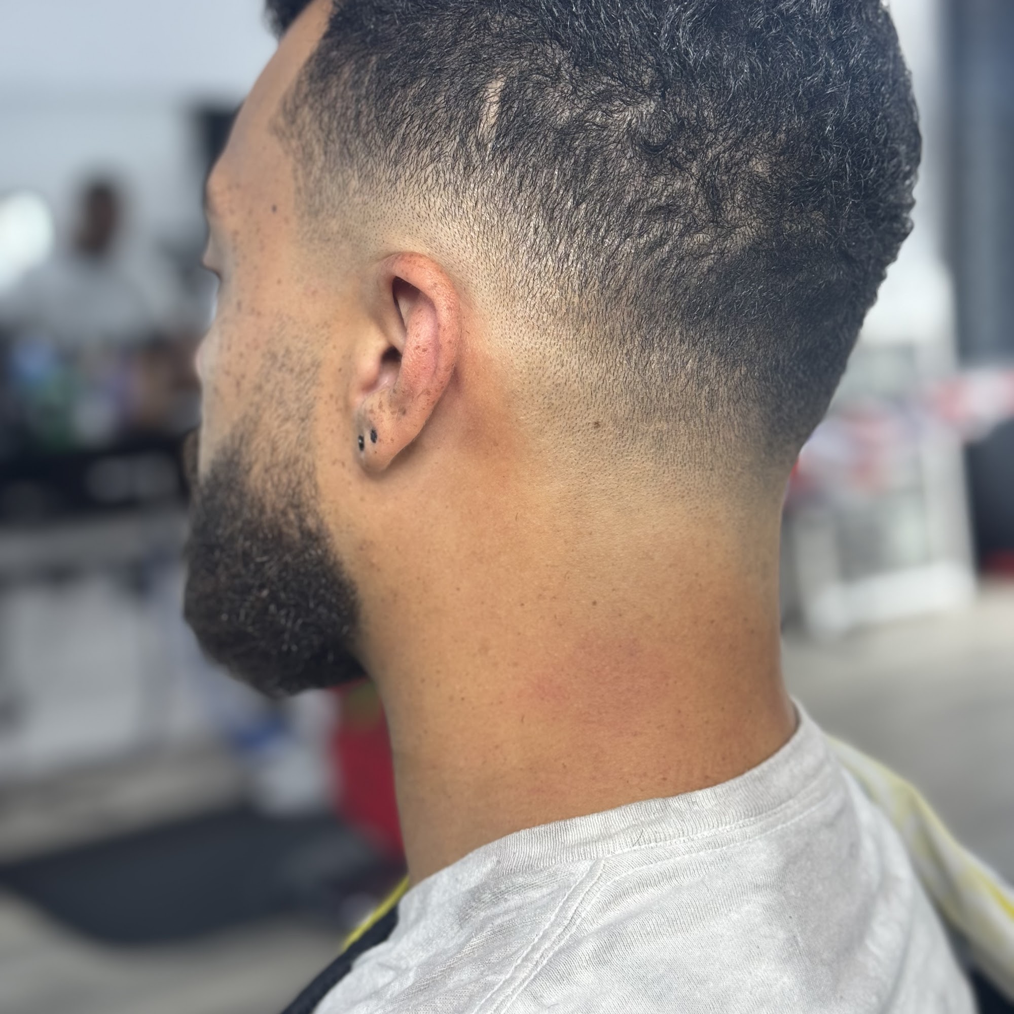 Felix Da Frickn Cat 5000 Park Blvd, Pinellas Park Florida 33781