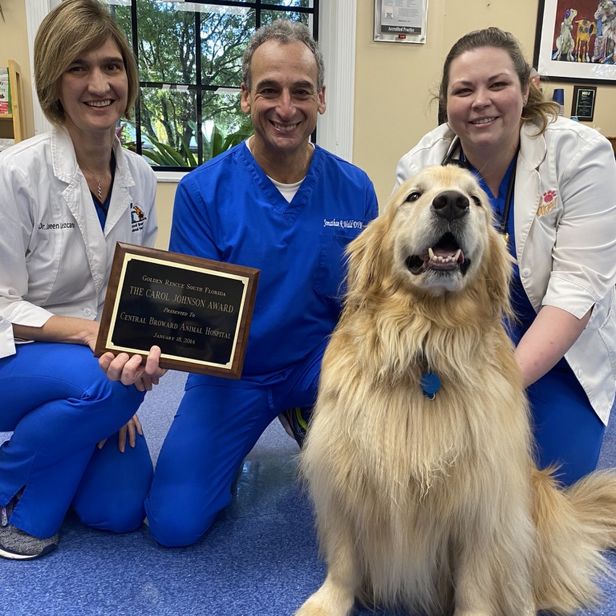 Central Broward Animal Hospital Plantation