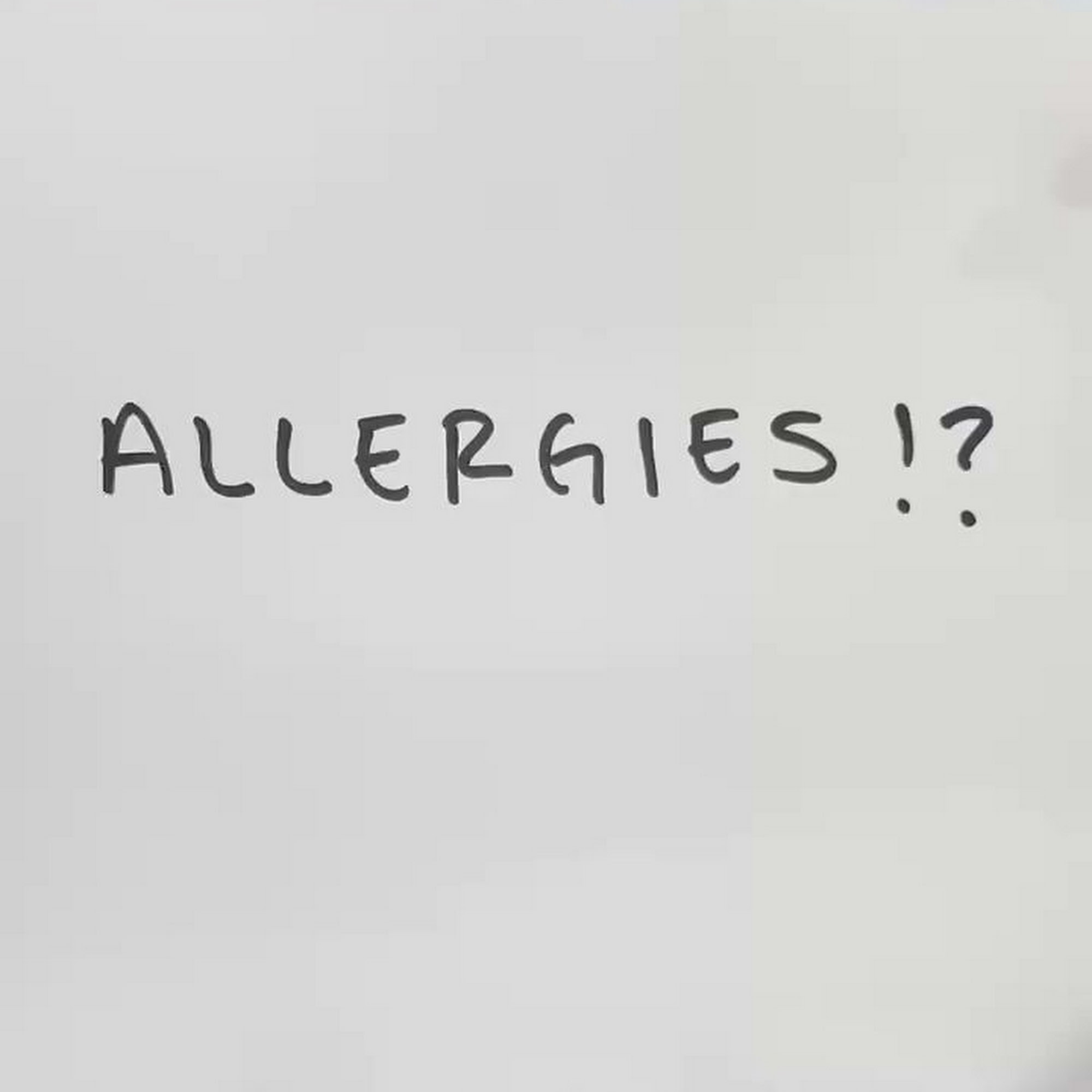 Lakeside Animal Hospital Plantation