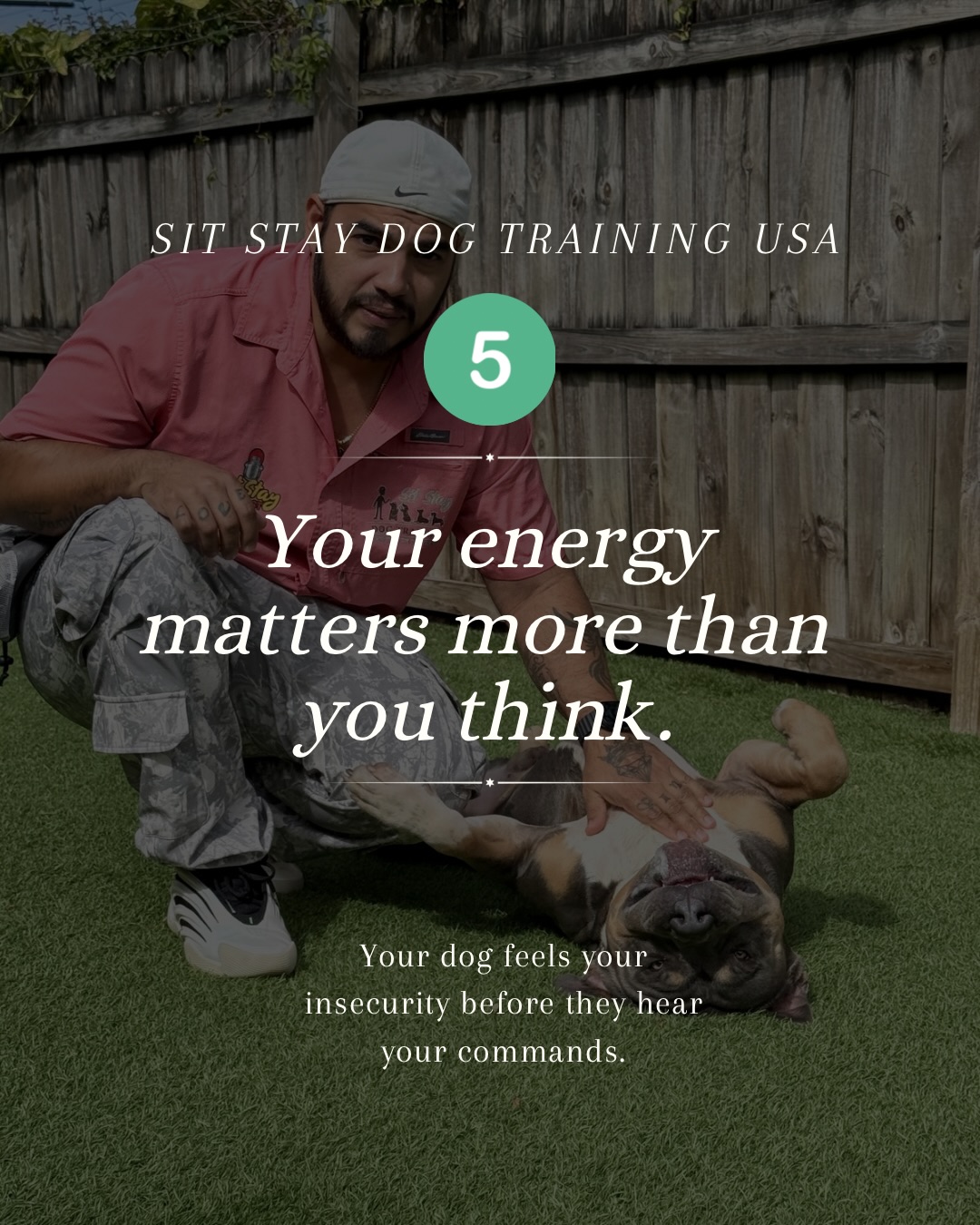 Sit Stay Dog Training USA Plantation