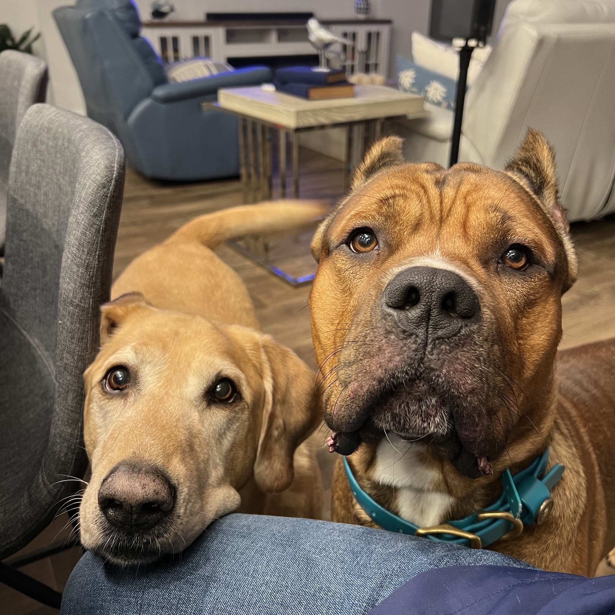 Outback Animal Clinic Polk City