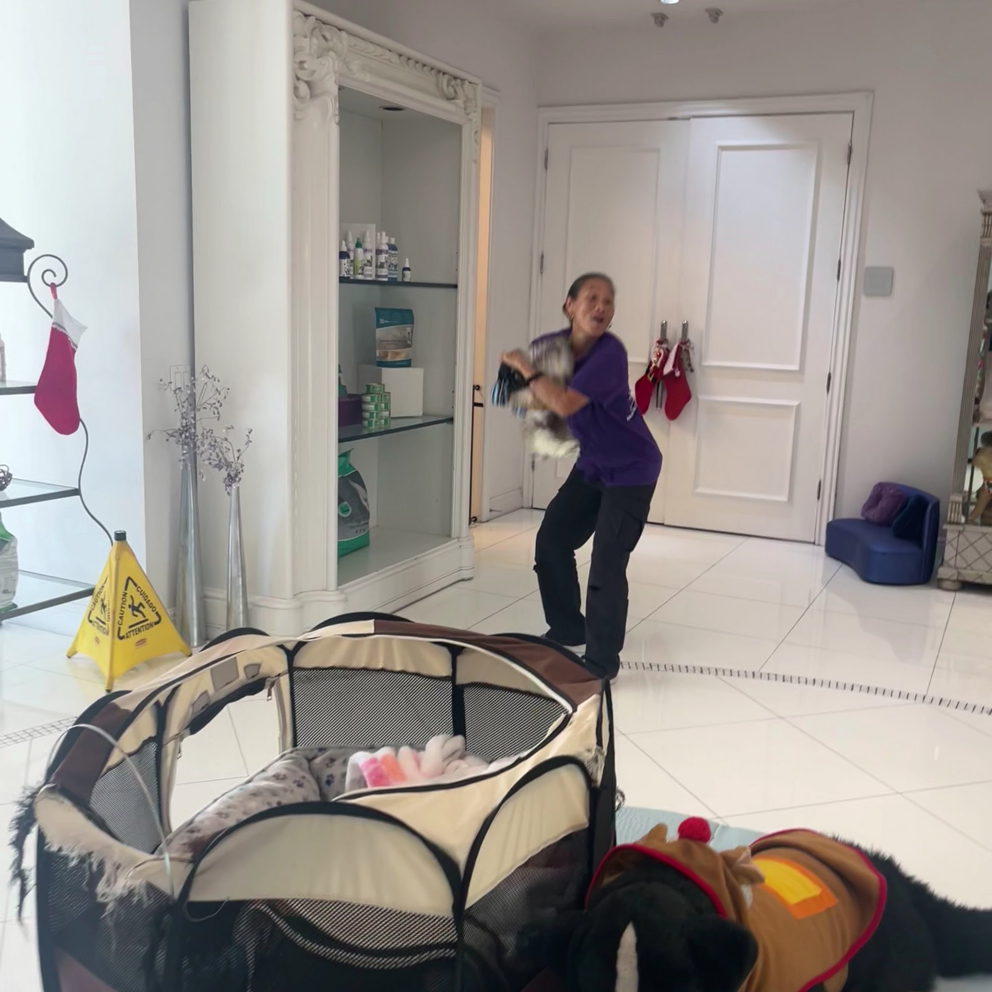 Chateau Poochie Pompano Beach