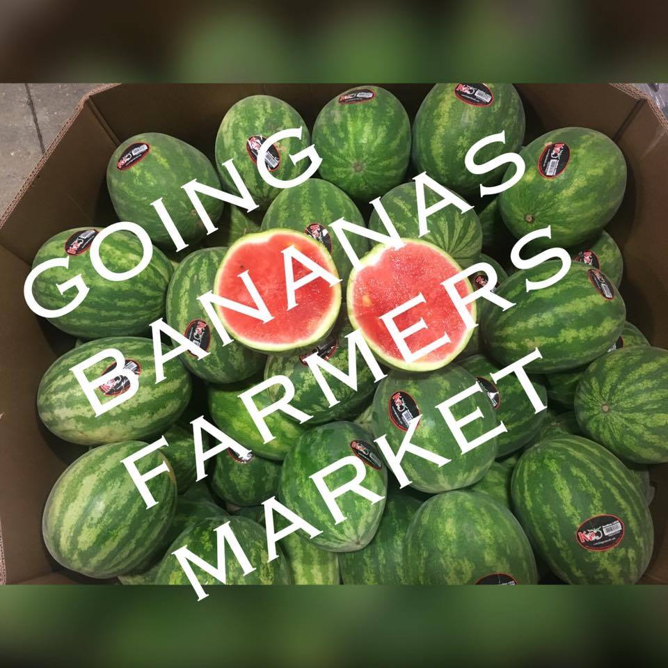 Rainbow Massage Therpy