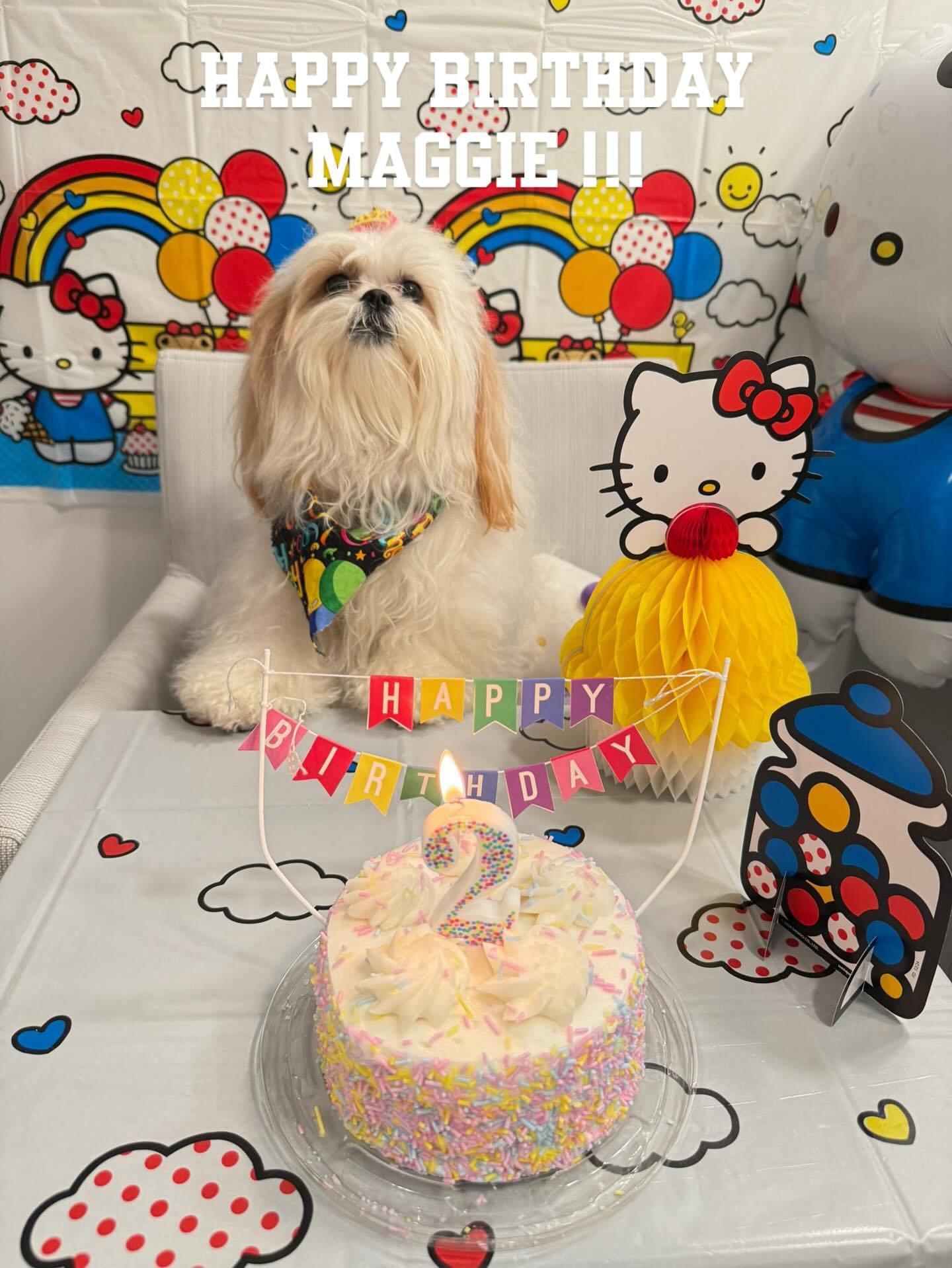 Dog City Pompano Beach