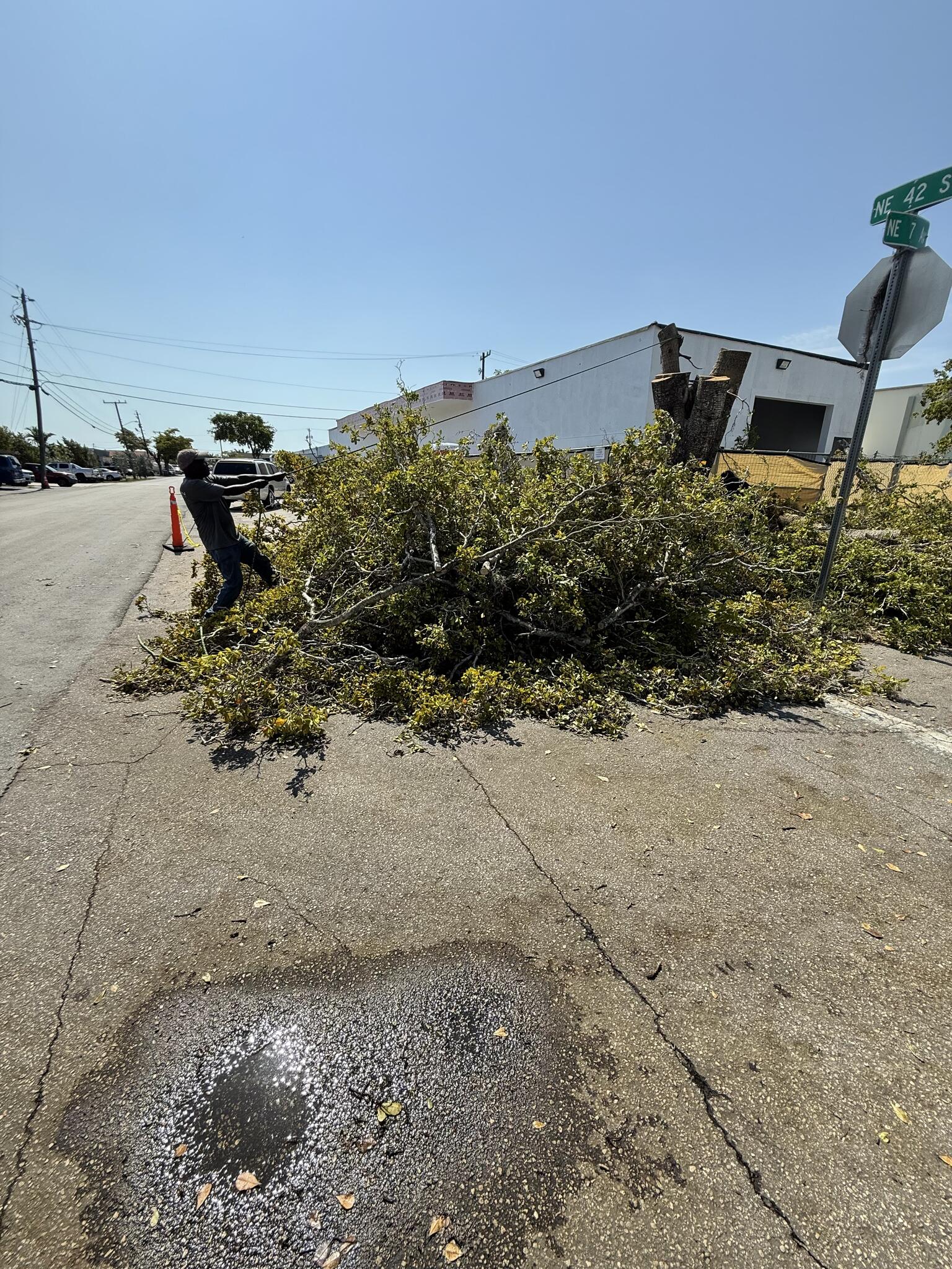 Photo credit: nextdoor