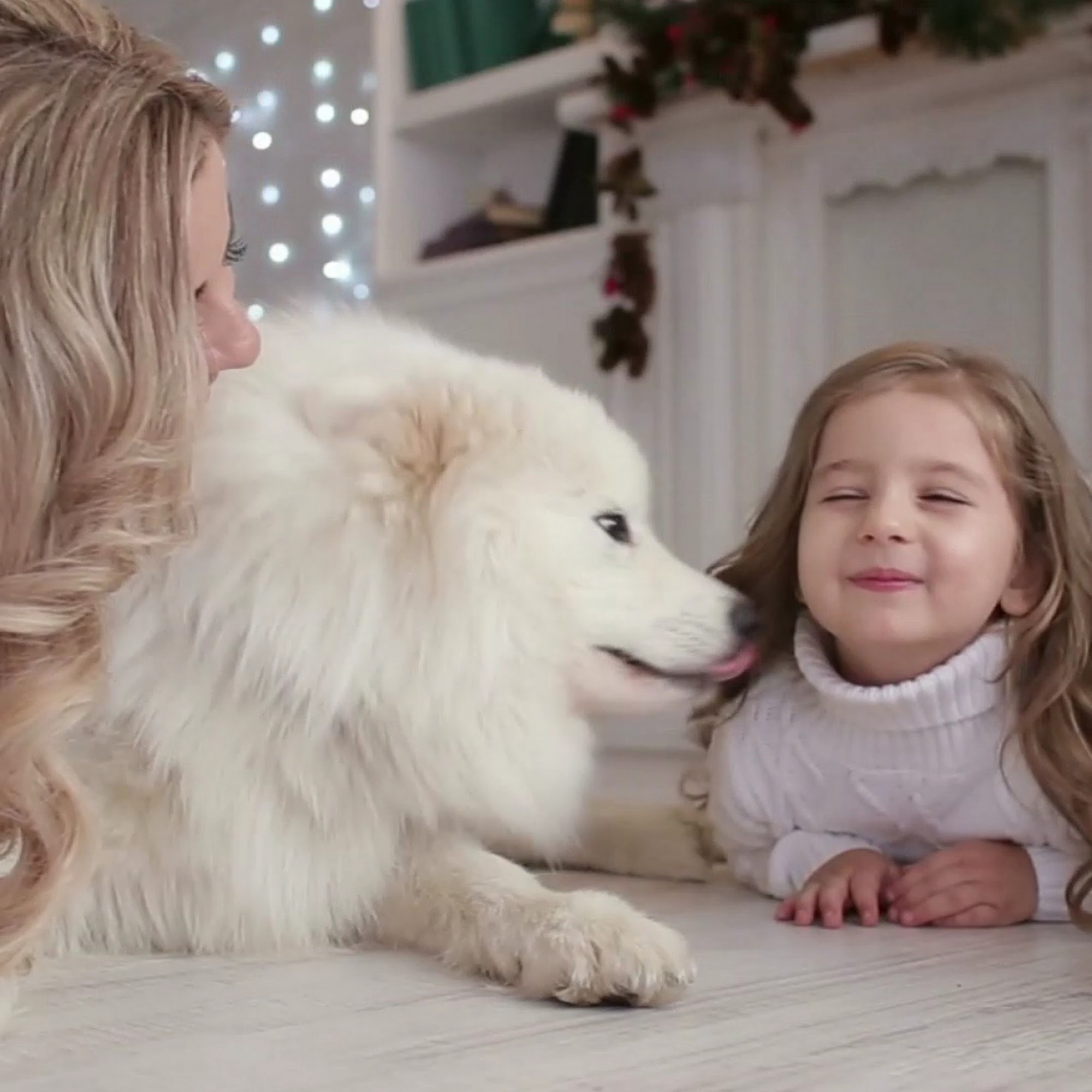 Zap Supplies Luxury Vinyl Flooring 1800 N Powerline Rd #5, Pompano Beach Florida 33069