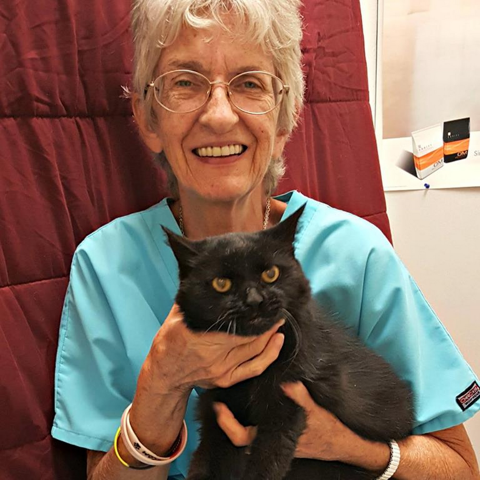 Loving Paws Animal Hospital Port Charlotte